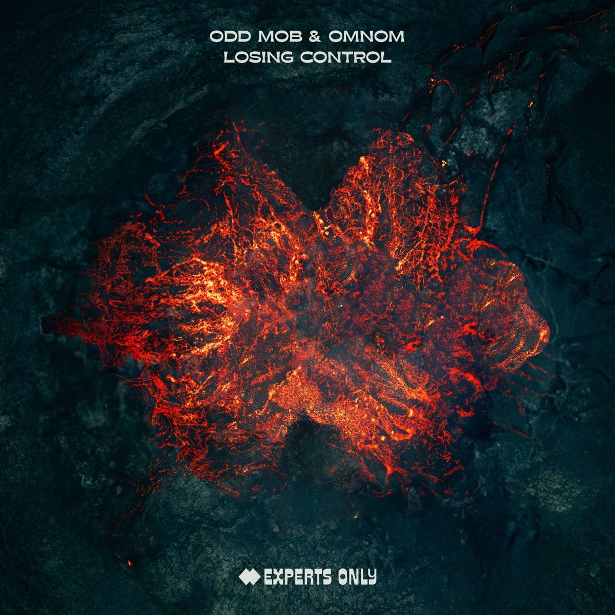 Losing Control - Single by Odd Mob & OMNOM album cover