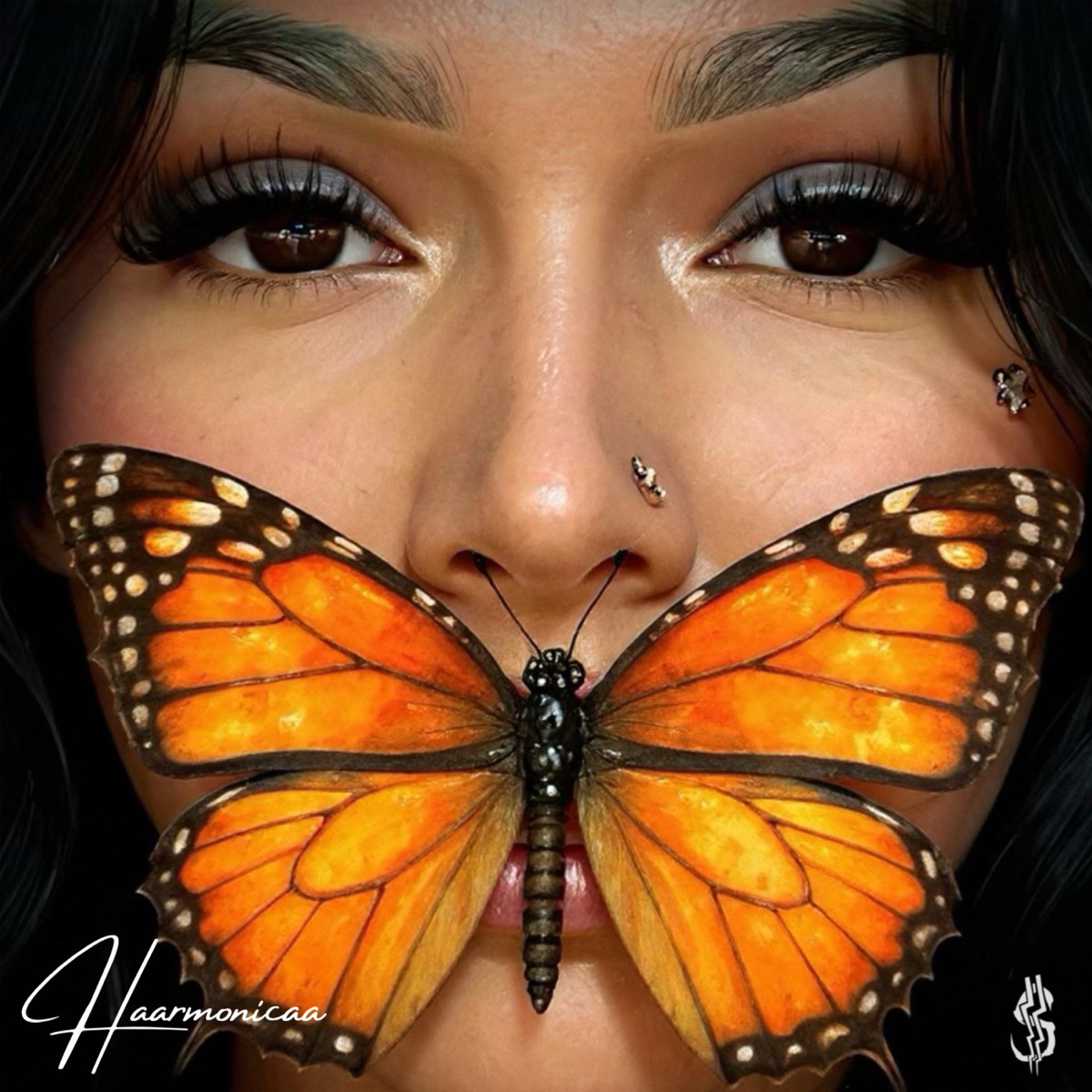 The Butterfly Effect by Haarmonicaa album cover