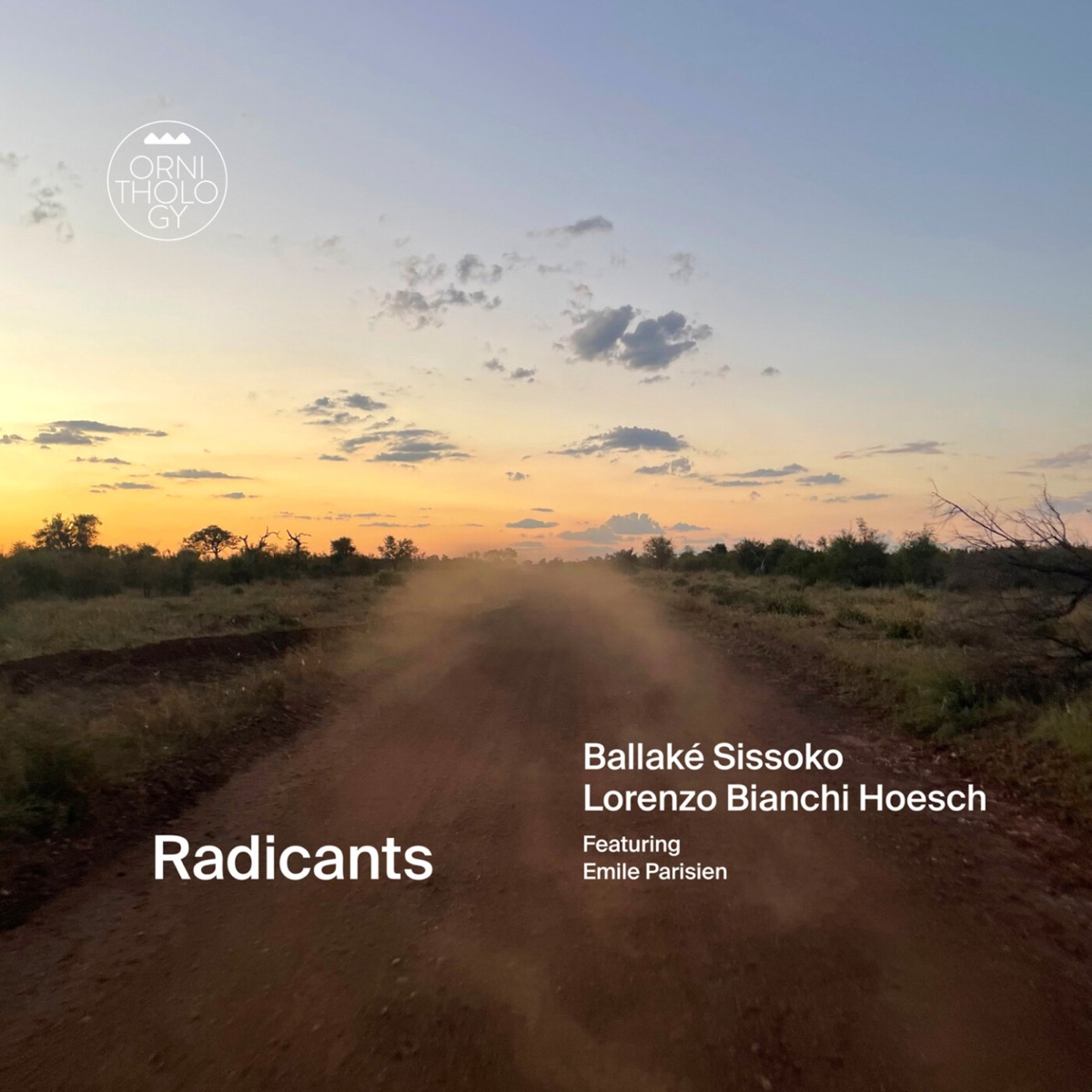 Radicants by Ballaké Sissoko & Lorenzo Bianchi Hoesch album cover