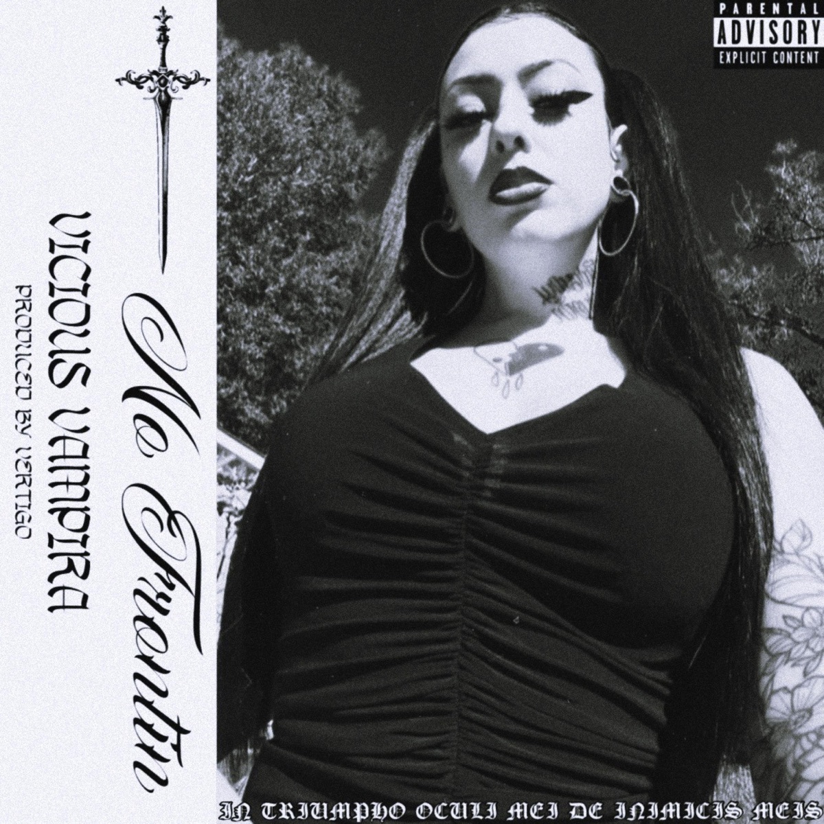 NO FRONTIN - Single by Vicious Vampira & VERTIGO album cover
