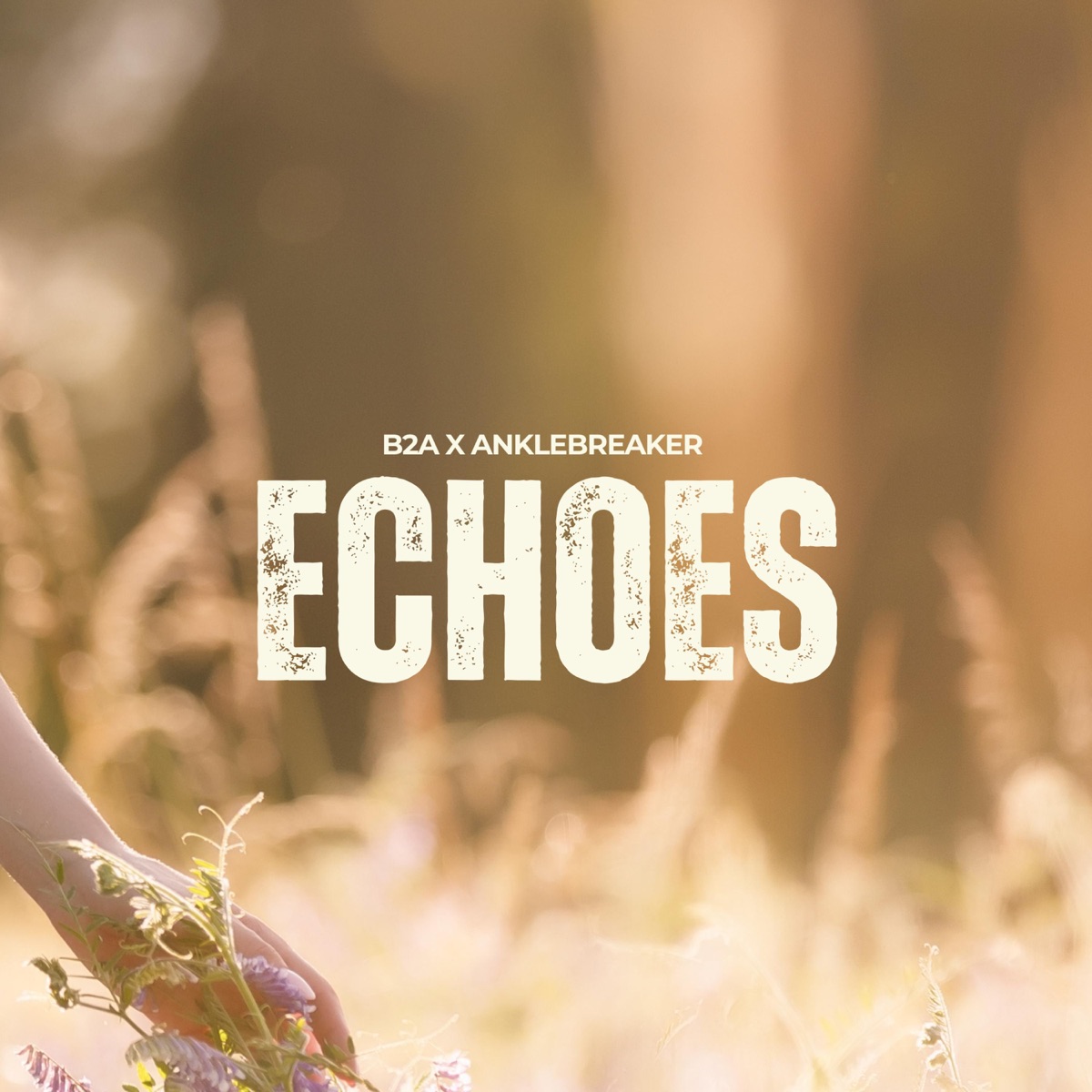 Echoes (Radio Edit) - Single by B2A album cover