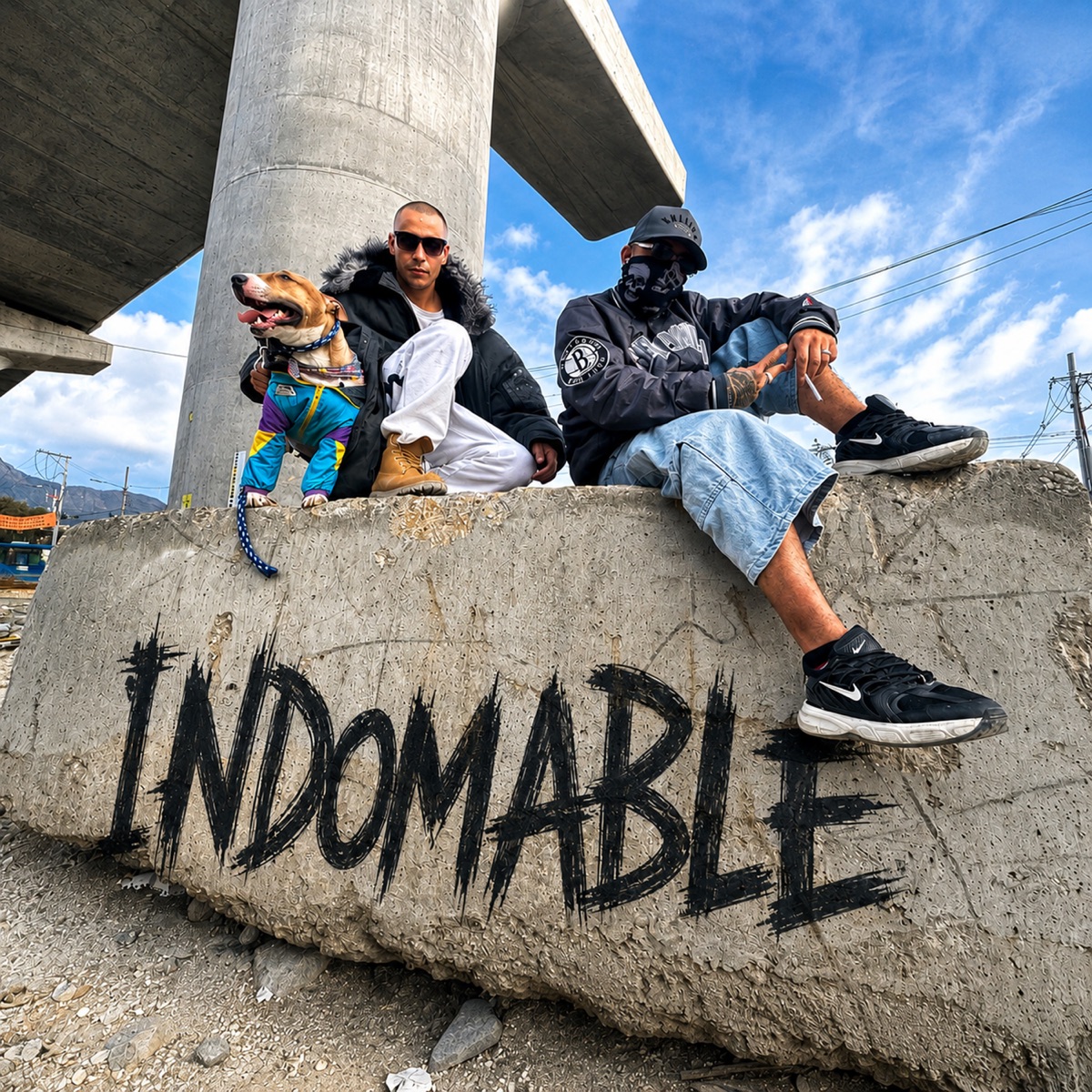 INDOMABLE (feat. Krypto El Merak) - Single by Valijas Crew album cover