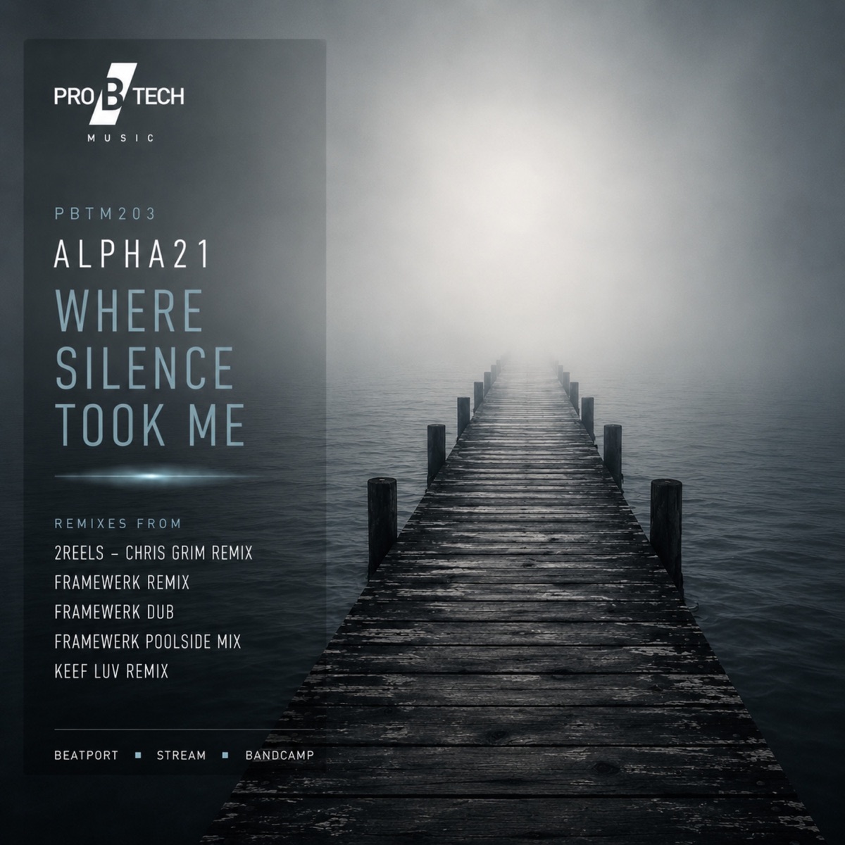 Where Silence Took Me by ALPHA21 album cover