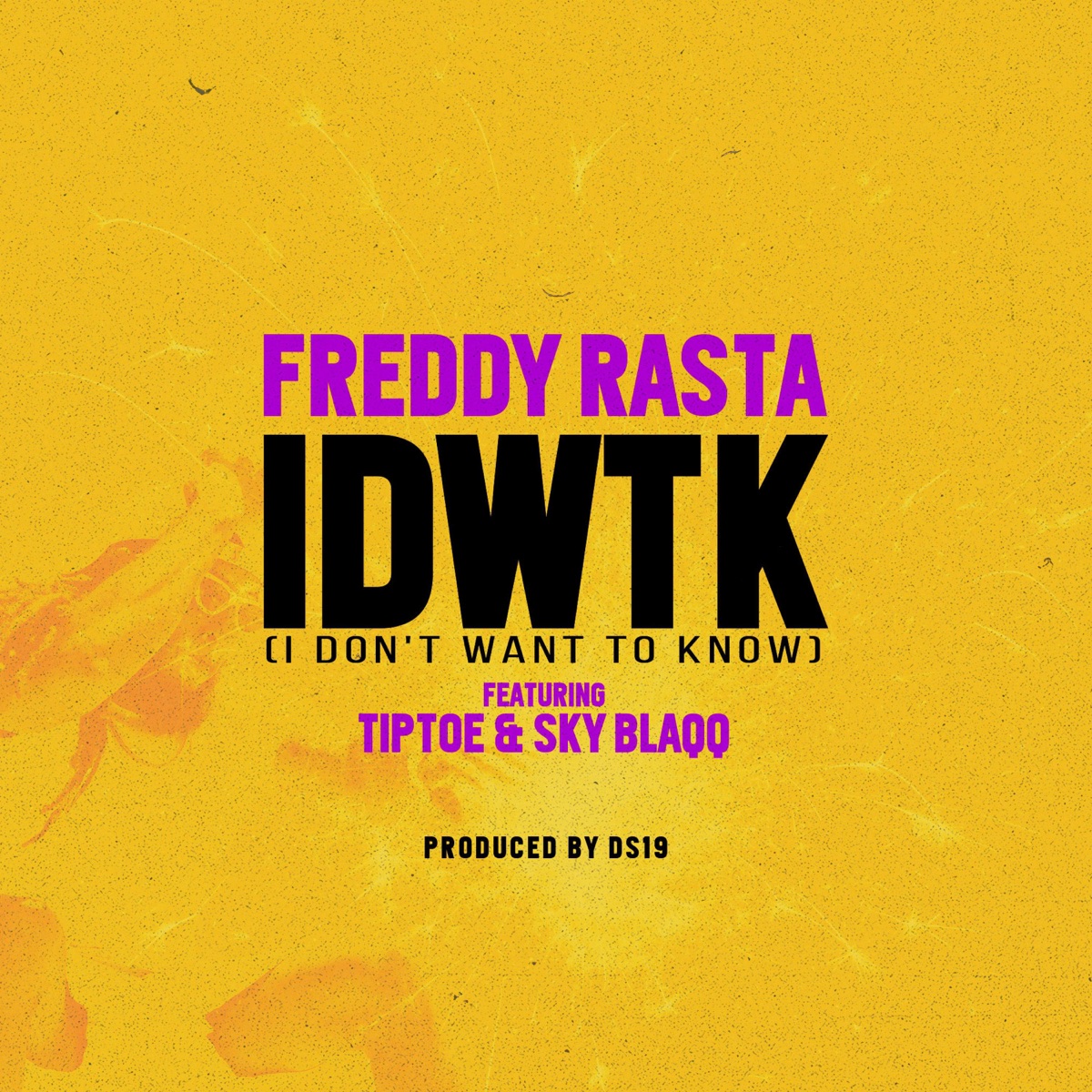 IDWTK (I don't want to know) (feat. Sky Blaqq) - Single by Freddy Rasta album cover