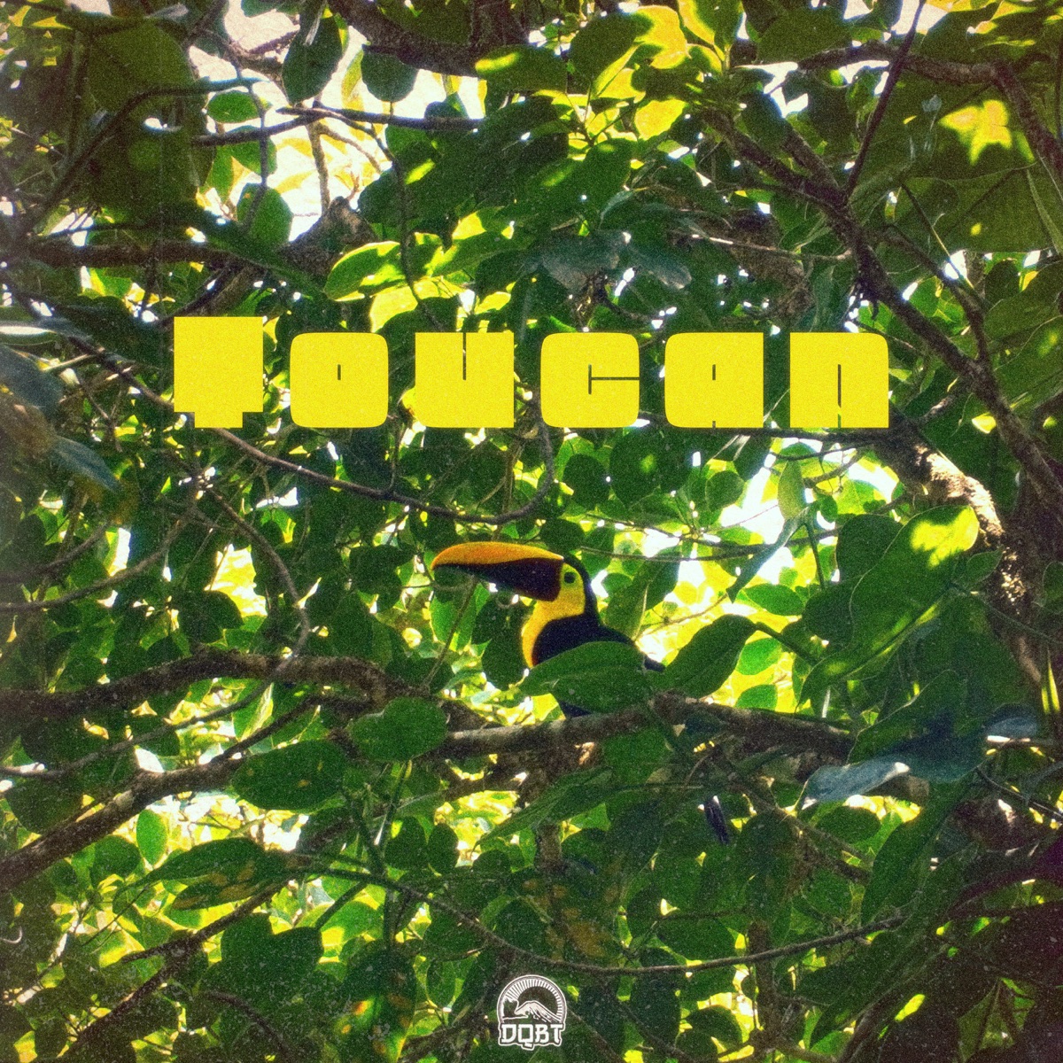Toucan - Single by bert cussion & Stapes album cover