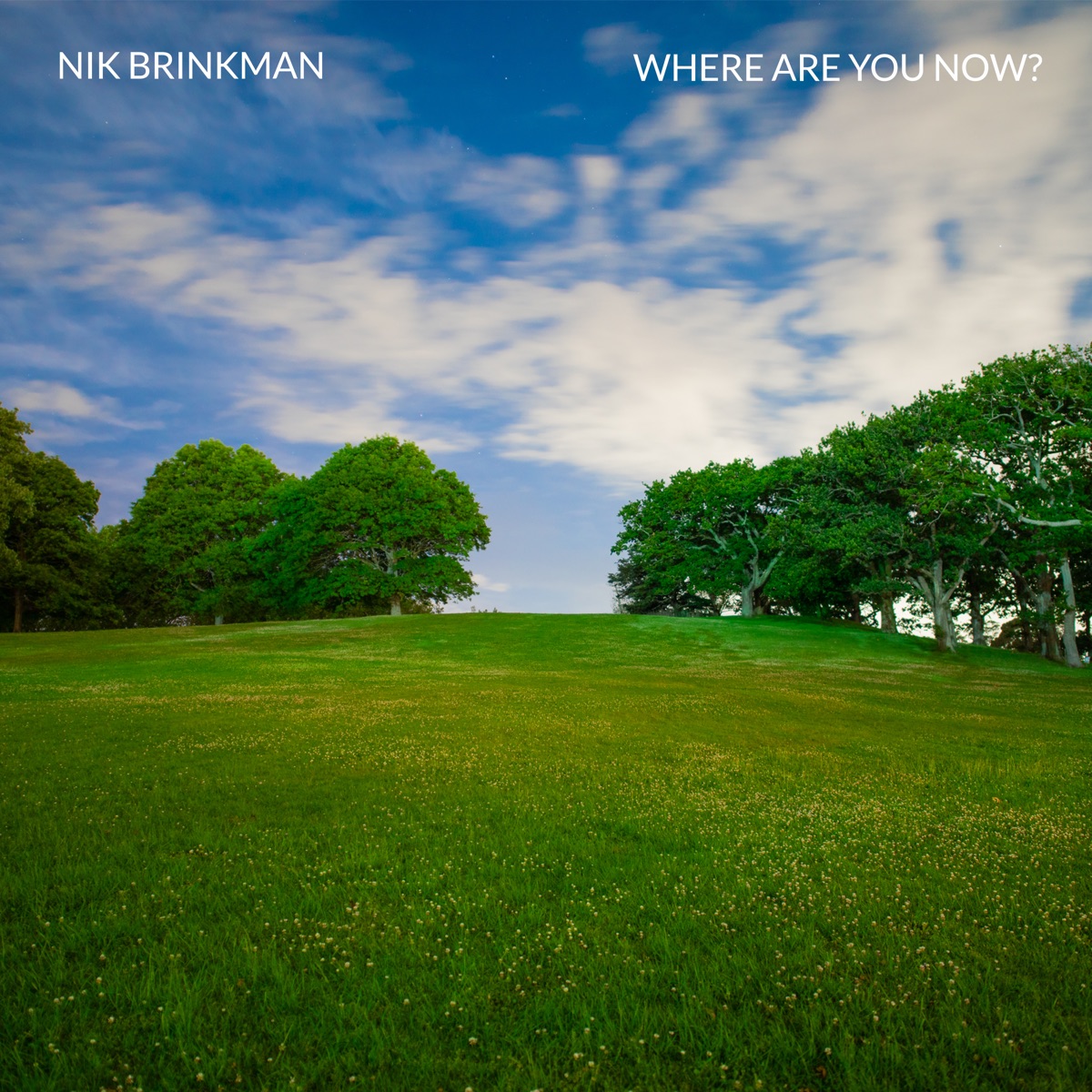 Where Are You Now? - Single by Nik Brinkman album cover
