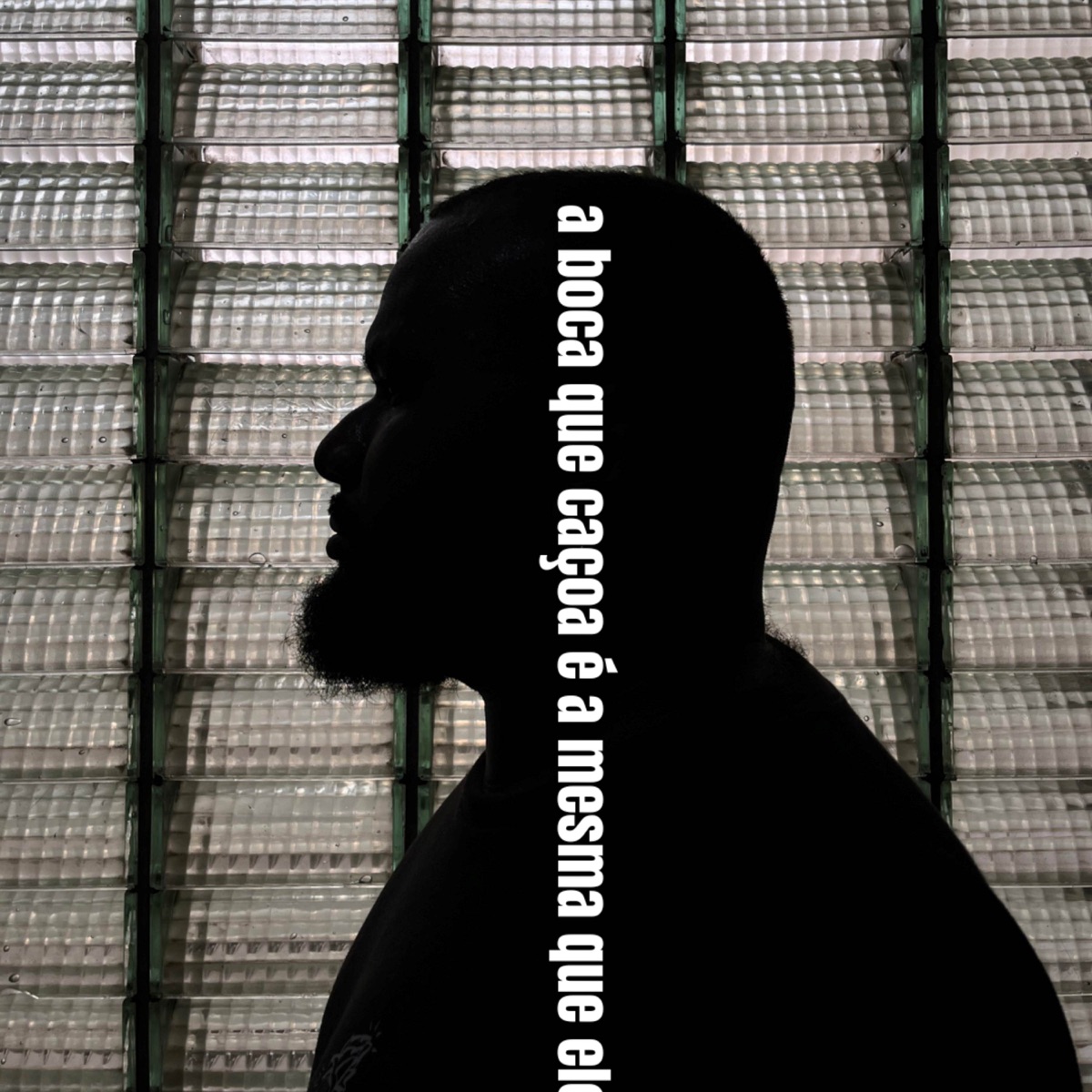 A Boca que caçoa é a mesma que elogia - Single by Alex Emissário album cover