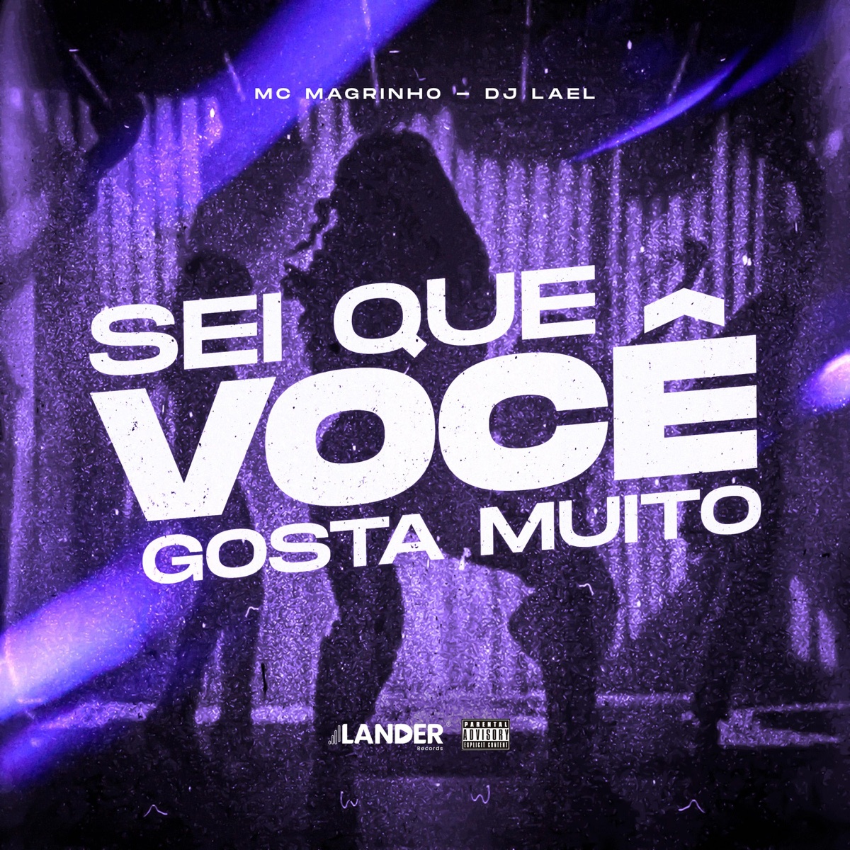 Sei Que Você Gosta Muito (feat. Mc Magrinho) - Single by Dj Lael album cover