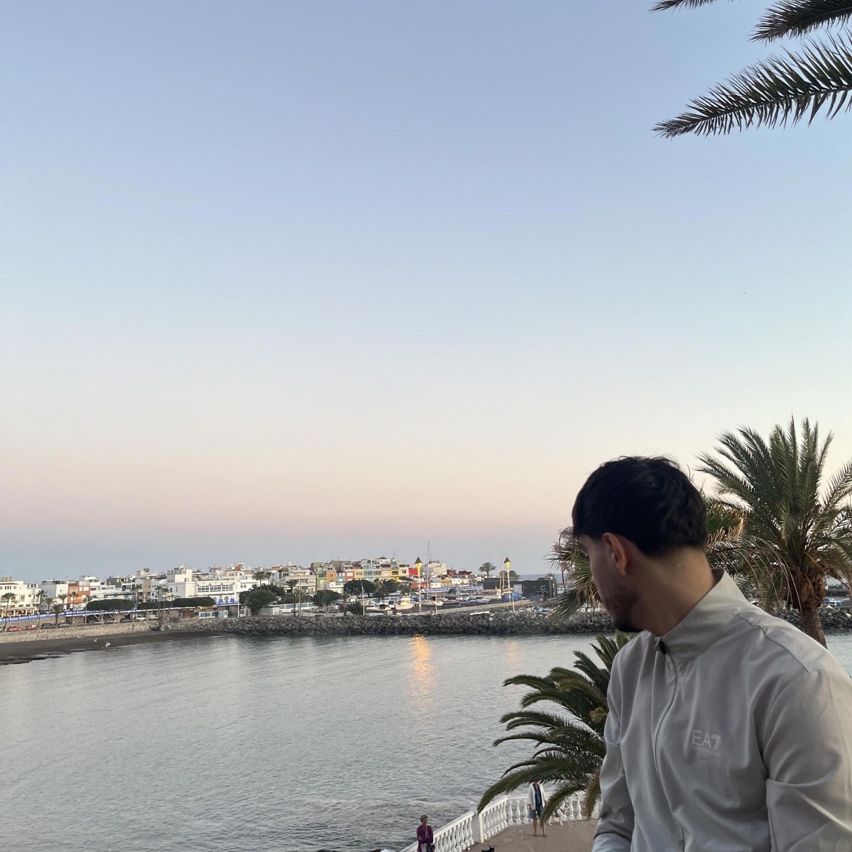 hoch fliegen - Single by Mozzi & 1100promille album cover