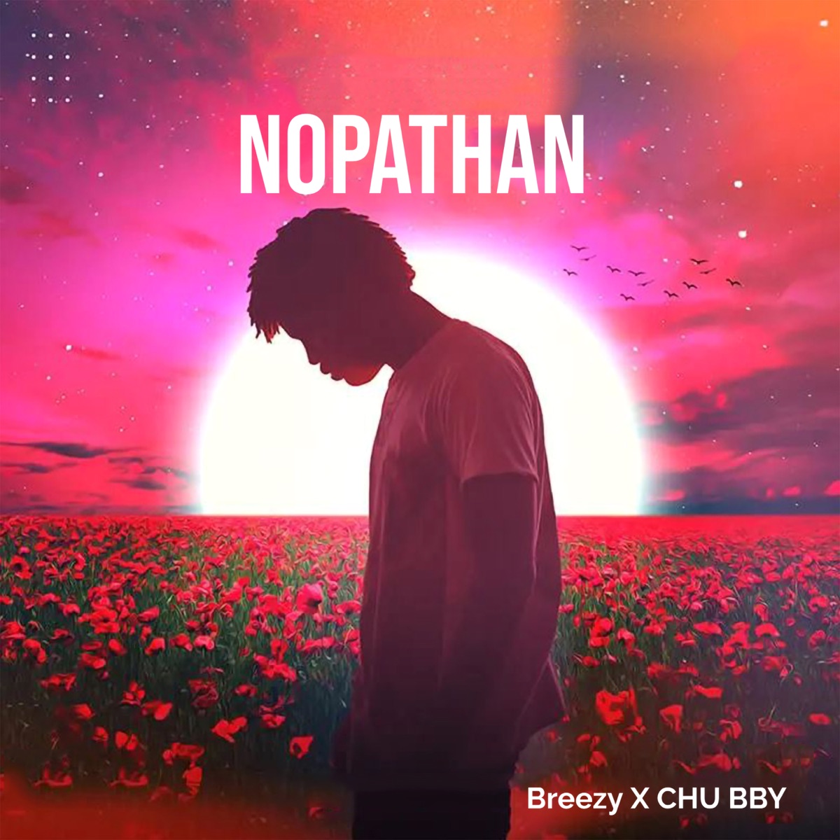Nopathan - Single by Breezy & CHU BBY album cover