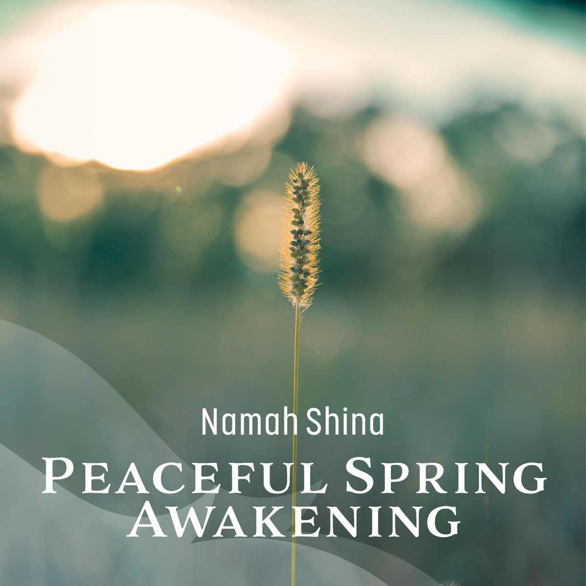 Peaceful Spring Awakening: Tranquil Blossom Reverie by Namah Shina album cover