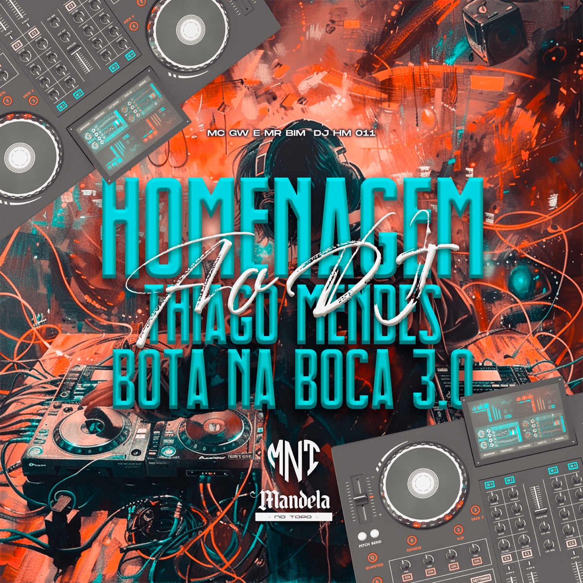 Homenagem ao Dj Thiago Mendes Bota na Boca 3.0 - Single by DJ HM 011, Mc Mr. Bim & MC GW album cover