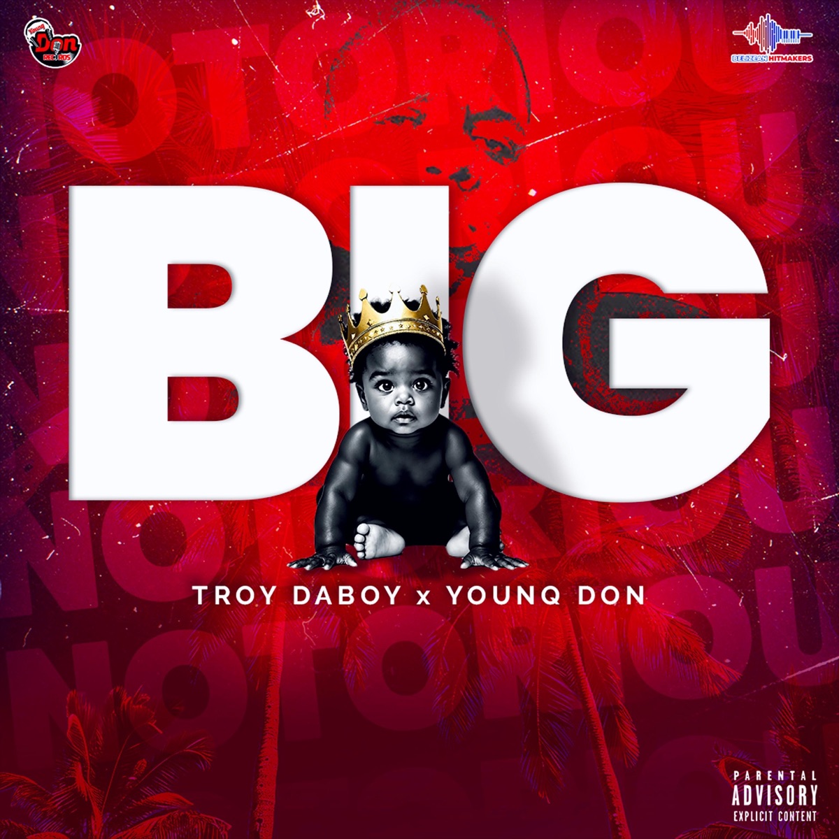 Big - Single by Troy DaBoy & Younq Don album cover