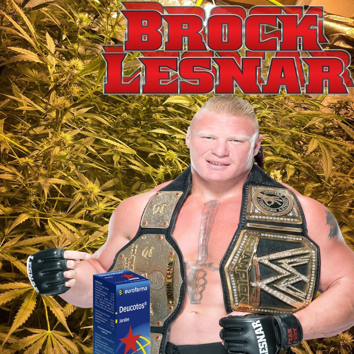 Brock lesnar (feat. NixBeatz & VAPO) - Single by la Verdadera Droga album cover
