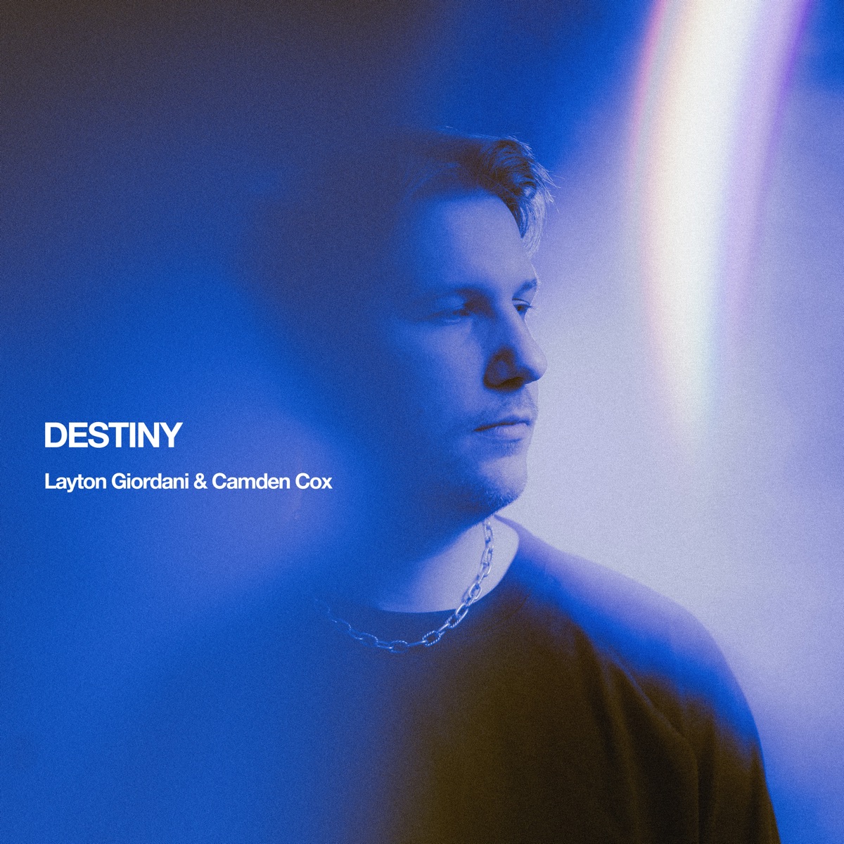 Destiny - Single by Layton Giordani & Camden Cox album cover