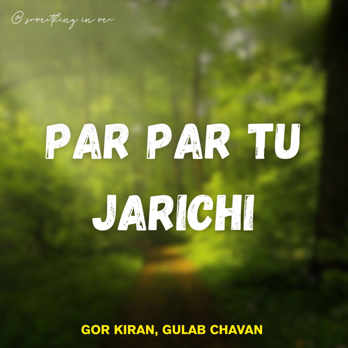 Par Par Tu Jarichi - Single by Gor Kiran & Gulab Chavan album cover