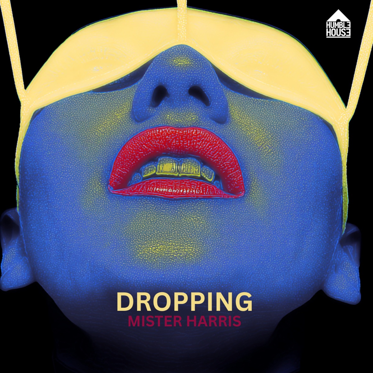 Dropping - Single by Mister Harris album cover