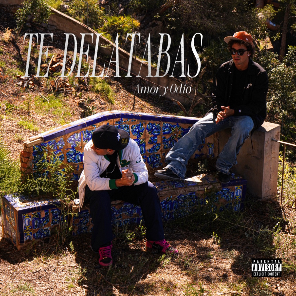 TE DELATABAS - Single by AmoryOdio album cover