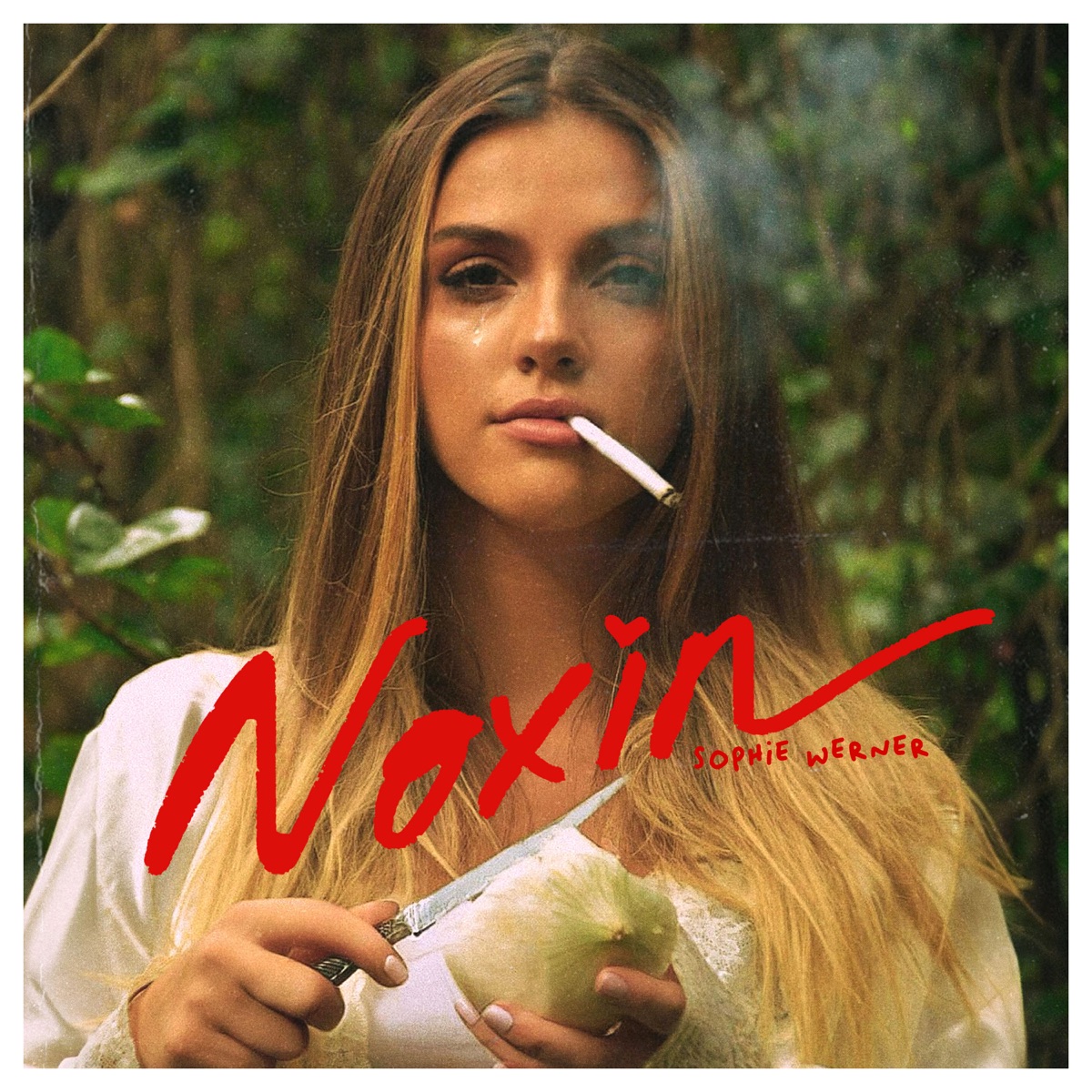 Noxin - Single by Sophie Werner album cover