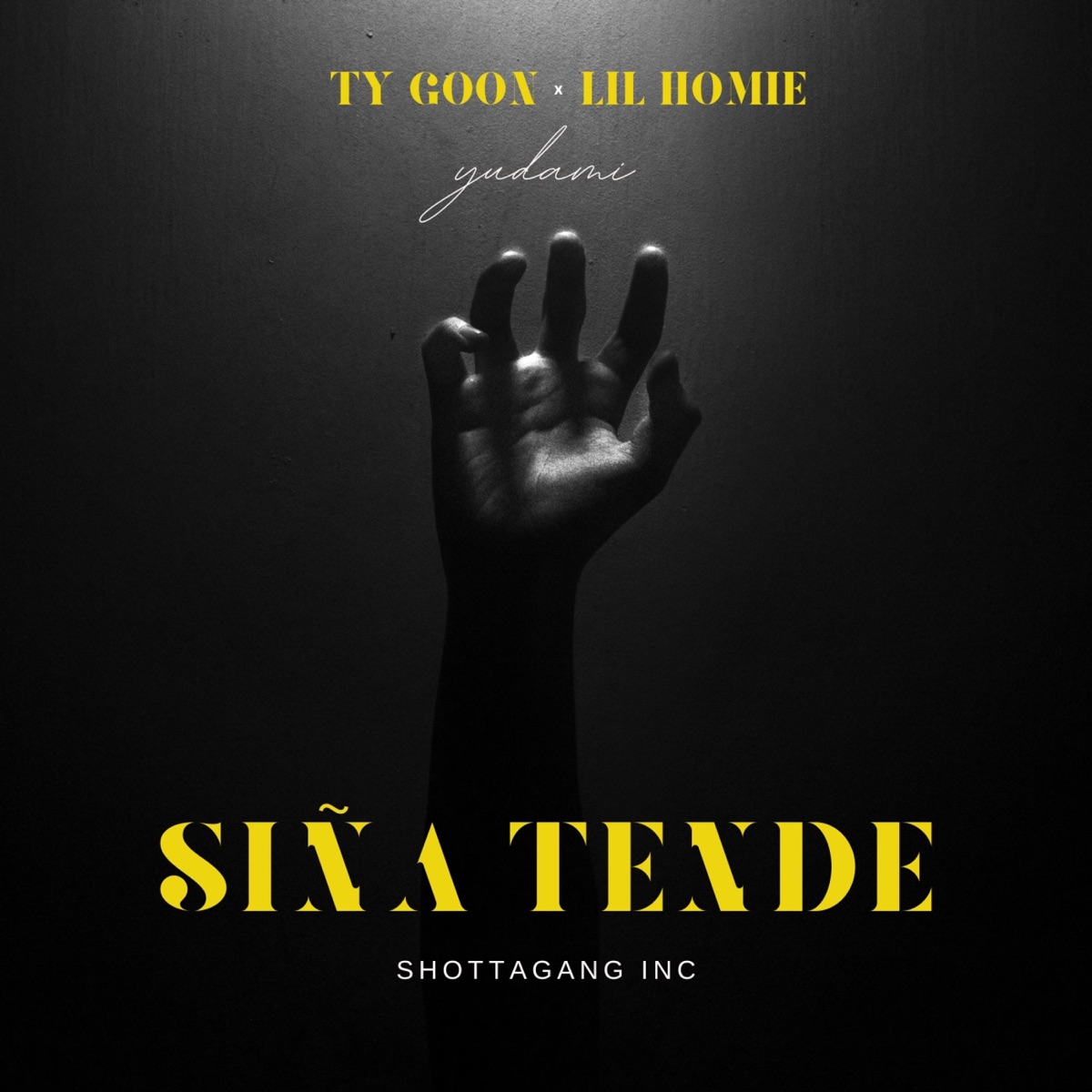 SIÑA TENDE (feat. Lil Homie) - Single by Ty Goon album cover