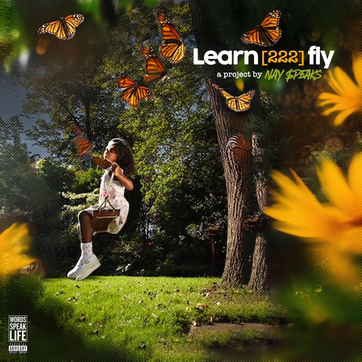 LEARN 222 FLY - EP by Nay Speaks album cover