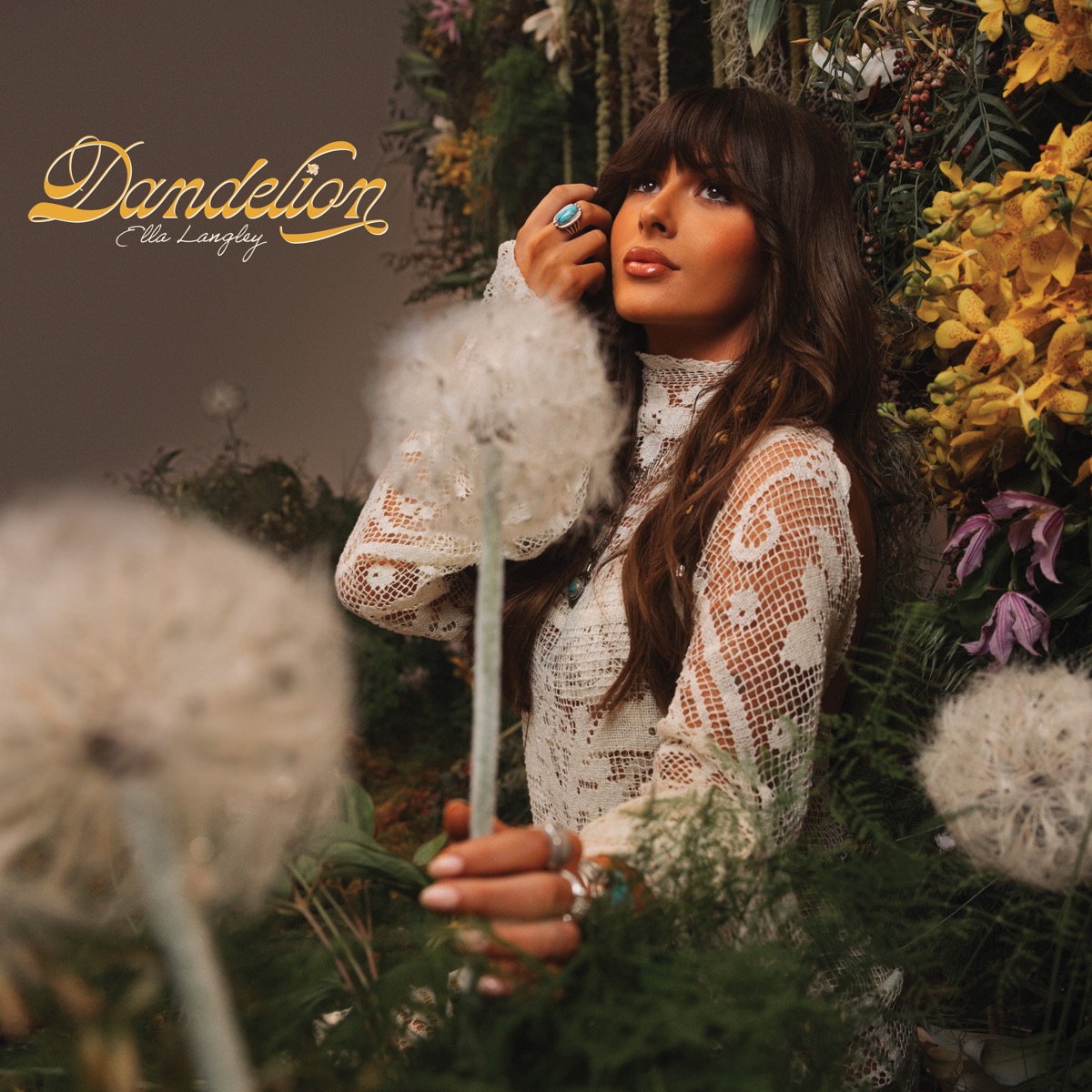 Dandelion by Ella Langley album cover