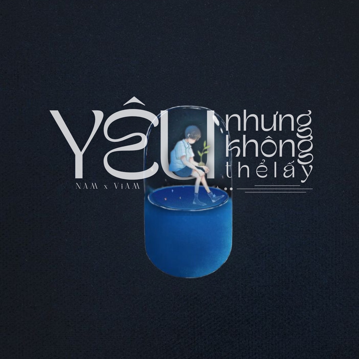 yêu nhưng không thể lấy - Single by ViAM & NAM album cover