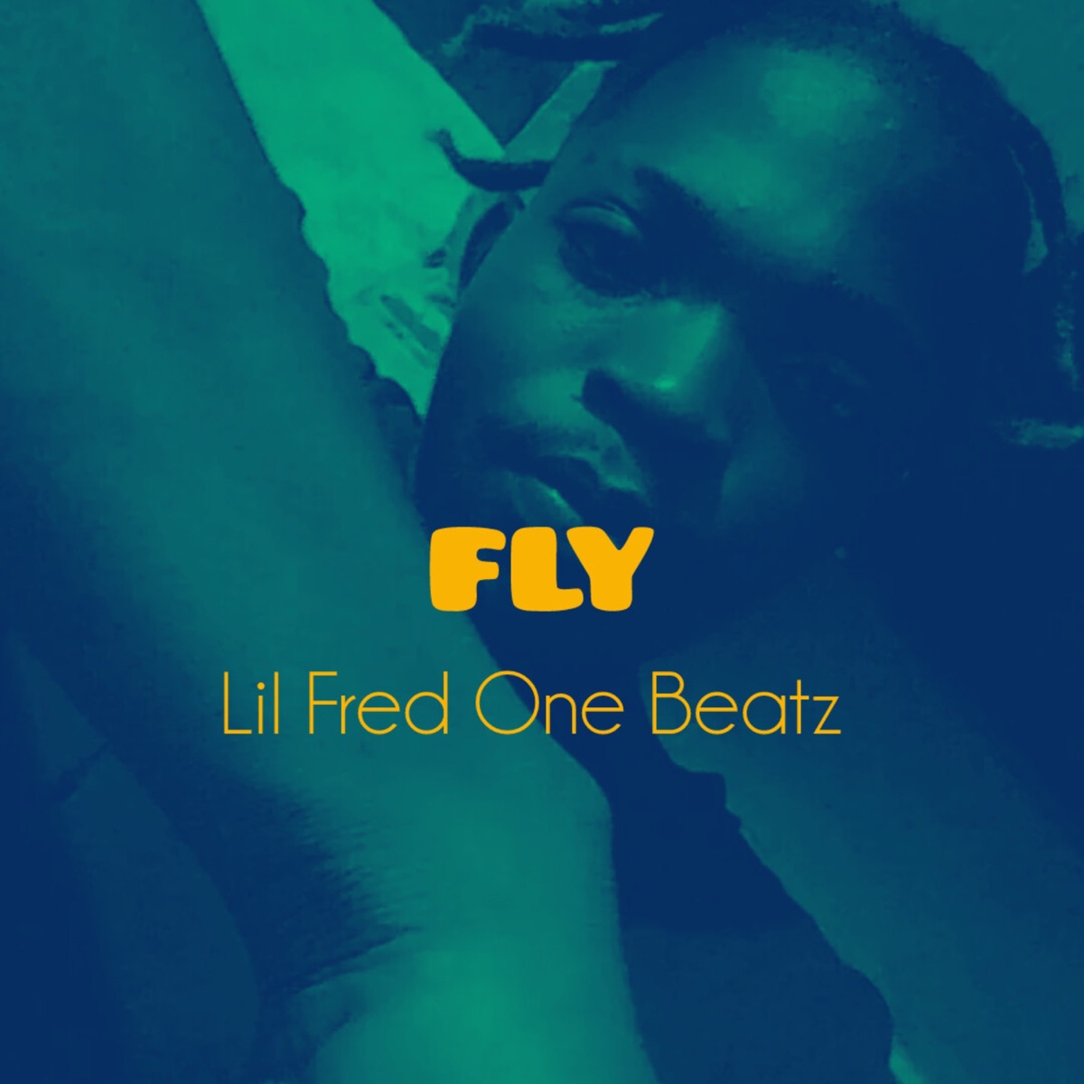 Fly - Single by Lil Fred One Beat & Humba Studio Label album cover