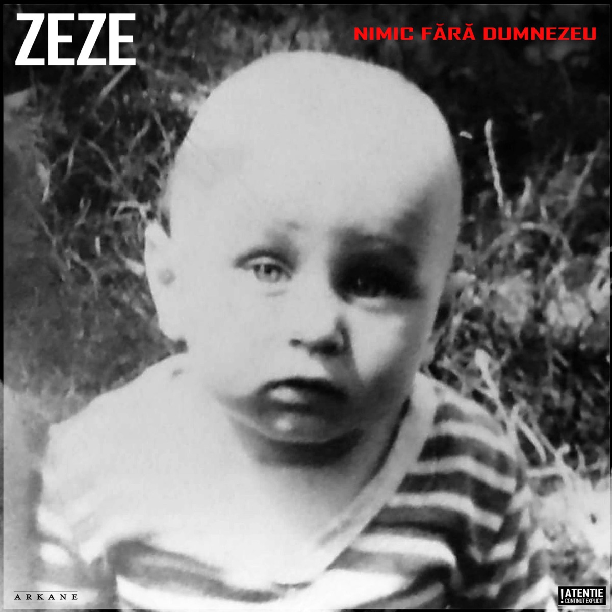 1 la 1 Milion (feat. Carbune & TKE) - Single by Zeze album cover