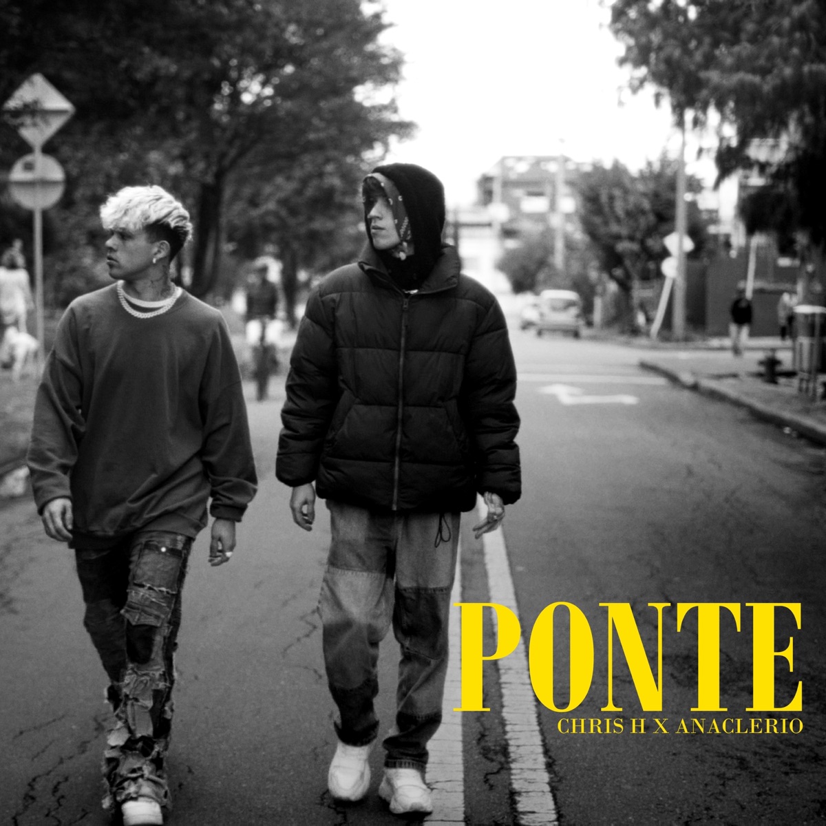 Ponte - Single by Chris H & Anaclerio album cover