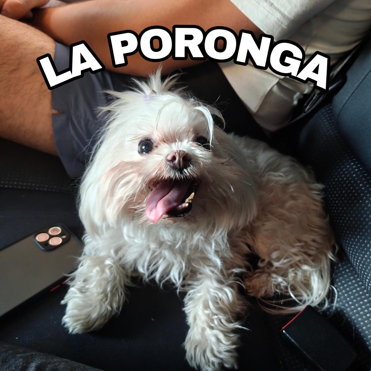 La Poronga (feat. Juan B) - Single by Marytan album cover