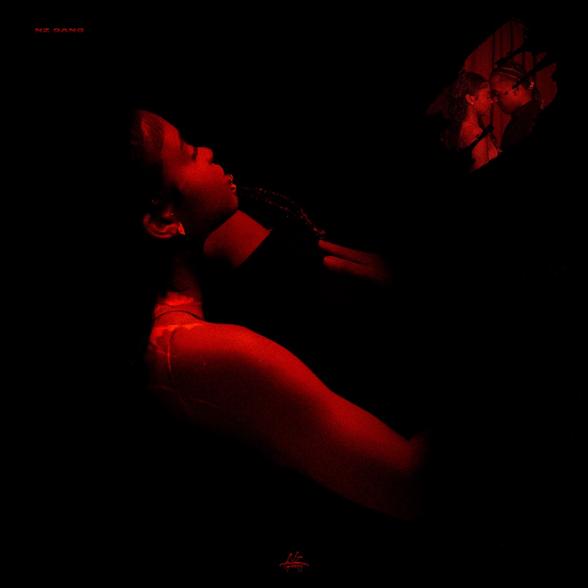 Meu Amor - Single by NZ Gang, Rikas & Das G album cover