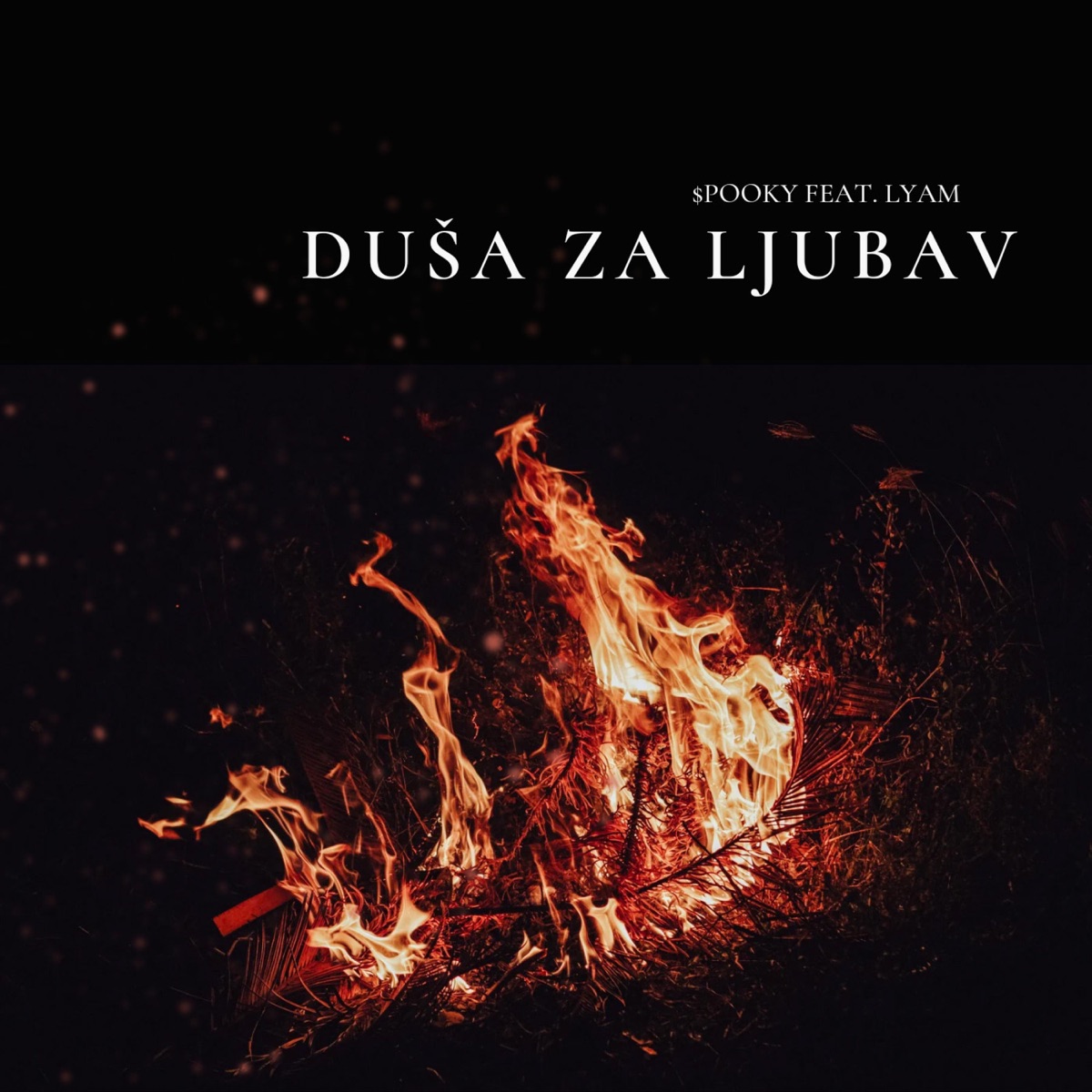 Duša za ljubav (feat. Lyam) - Single by $pooky31 album cover