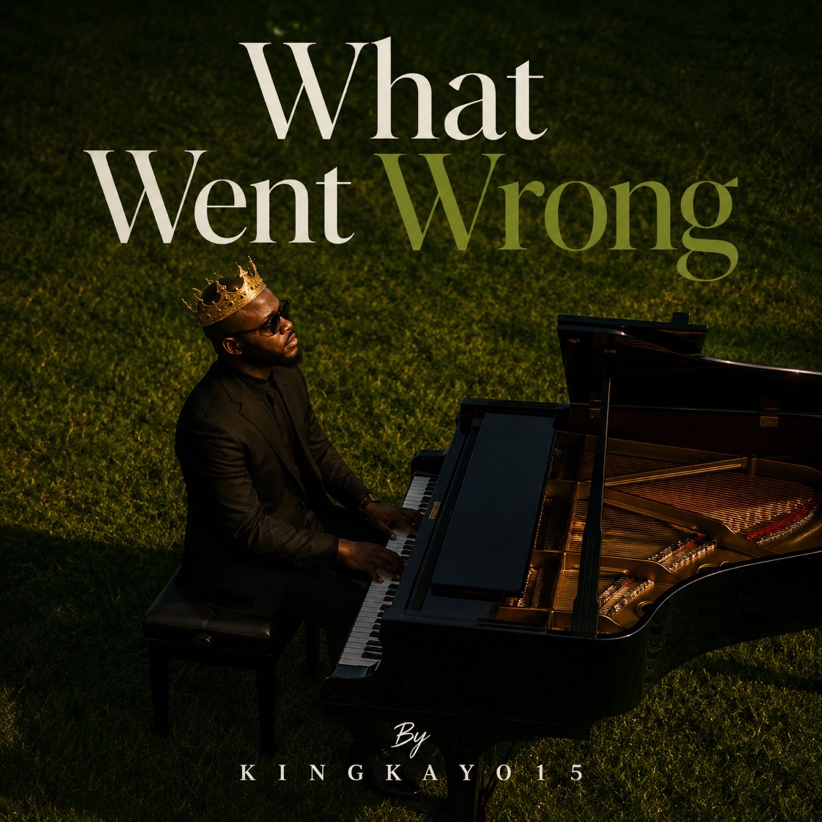 What Went Wrong by Kingkay015 album cover