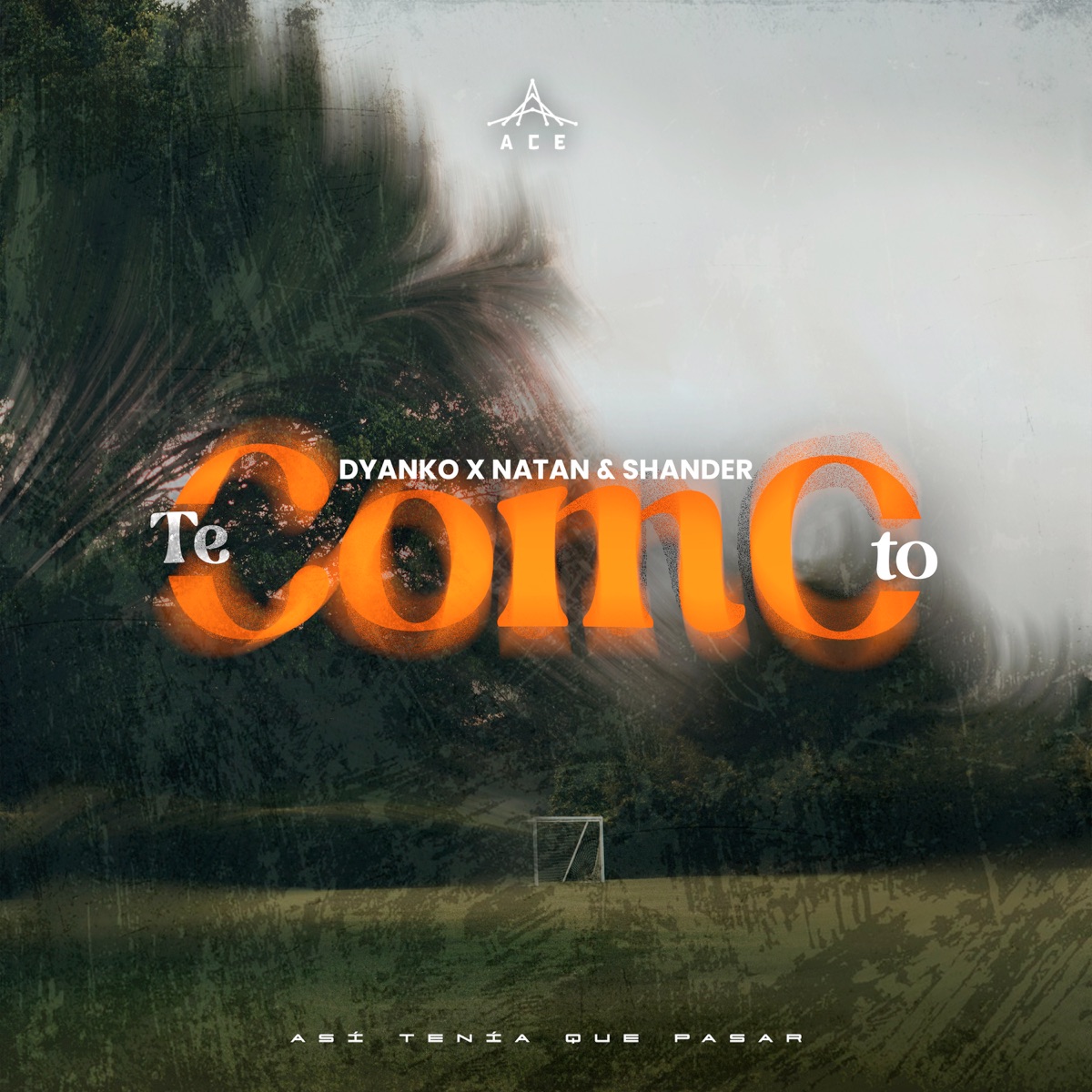 TE COMO TO - Single by Dyanko & Natan & Shander album cover