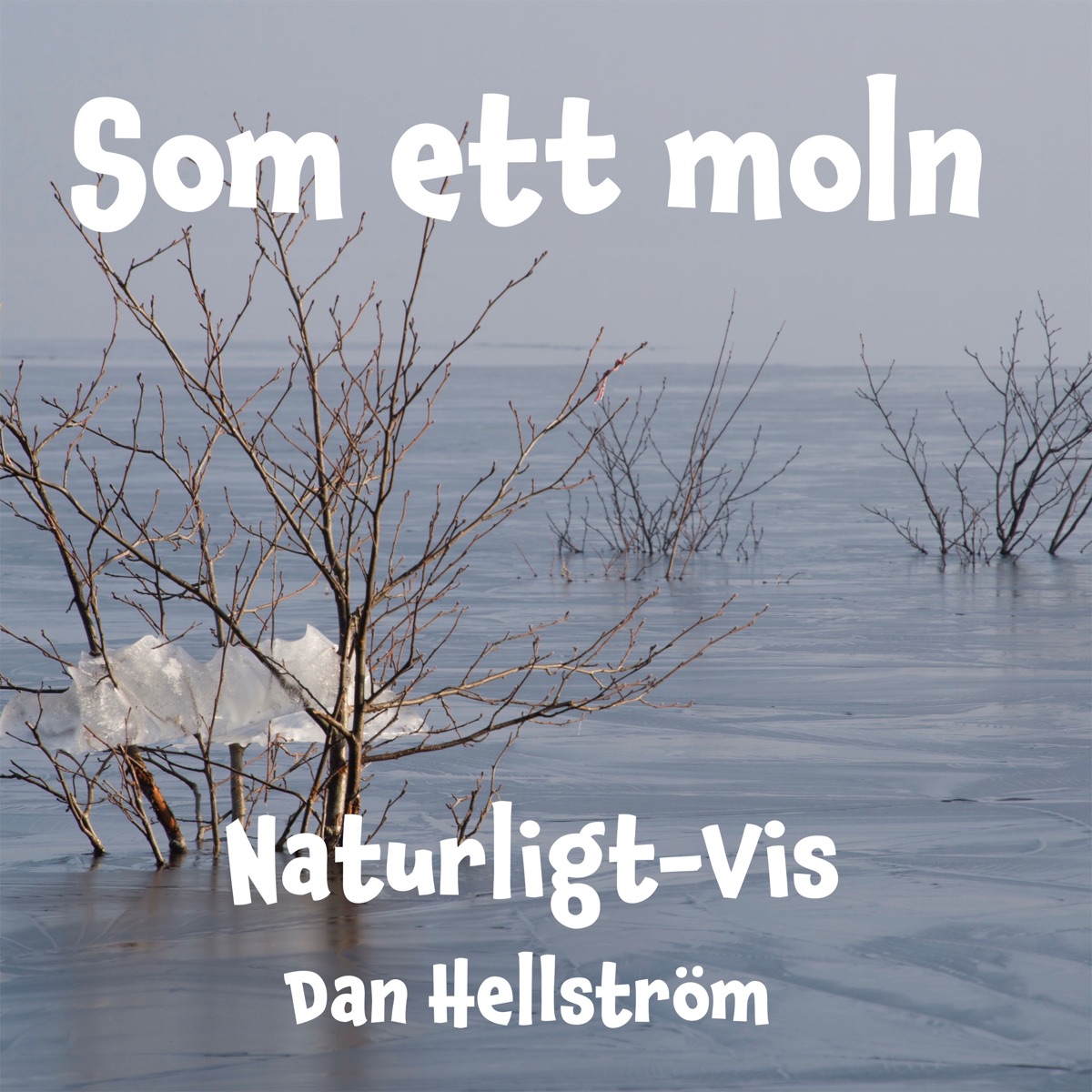 Som ett moln (feat. Niss-Kerstin Hallgren, Ewan Svensson & Vanja Holm) - Single by Dan Hellström & Naturligt-Vis album cover