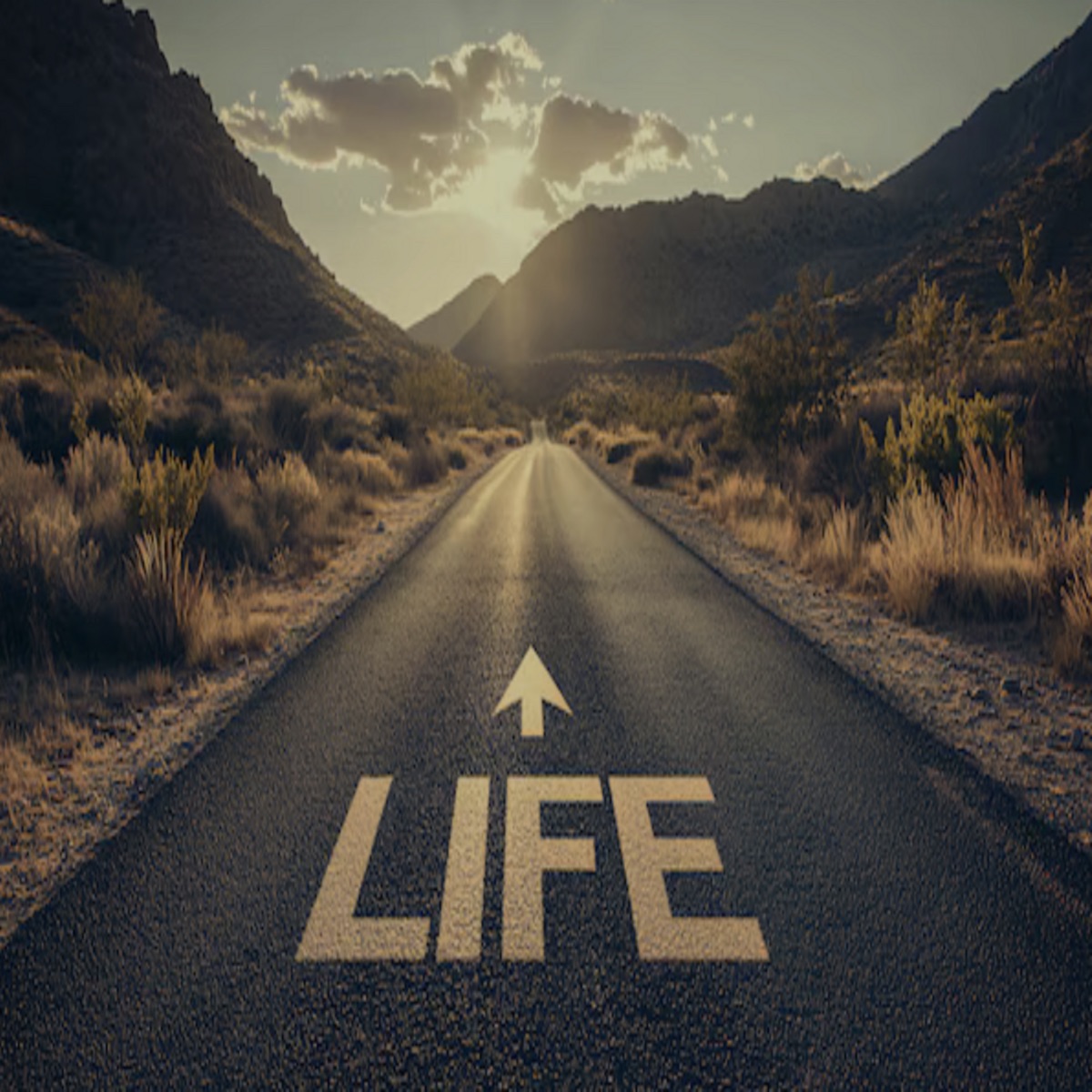 Life - Single by Bjór album cover