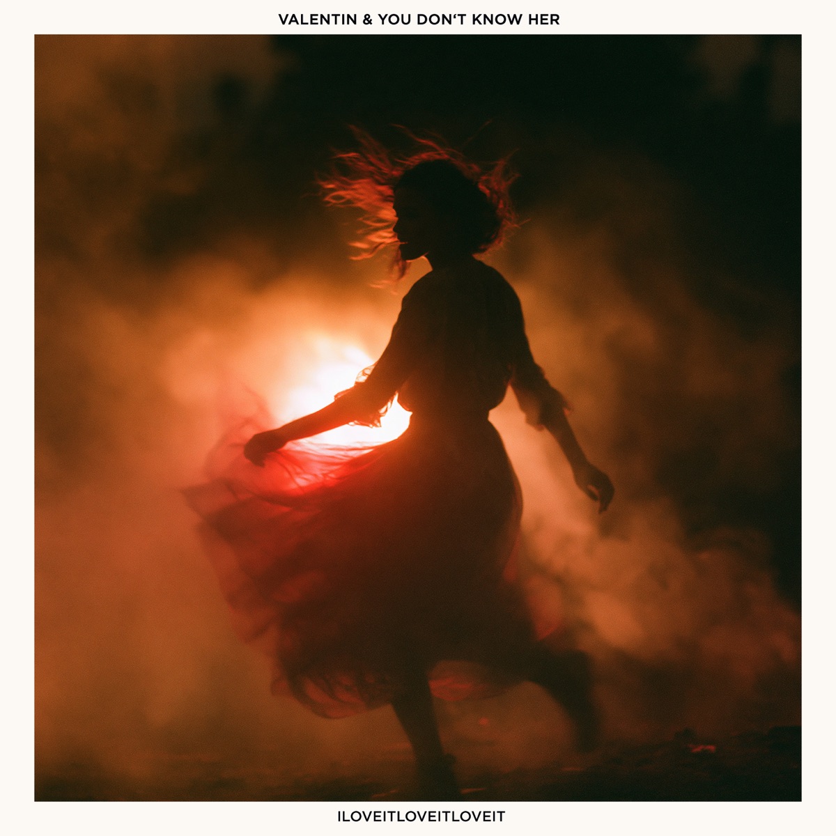 iloveitiloveitiloveit - Single by Valentin & You Don't Know Her album cover