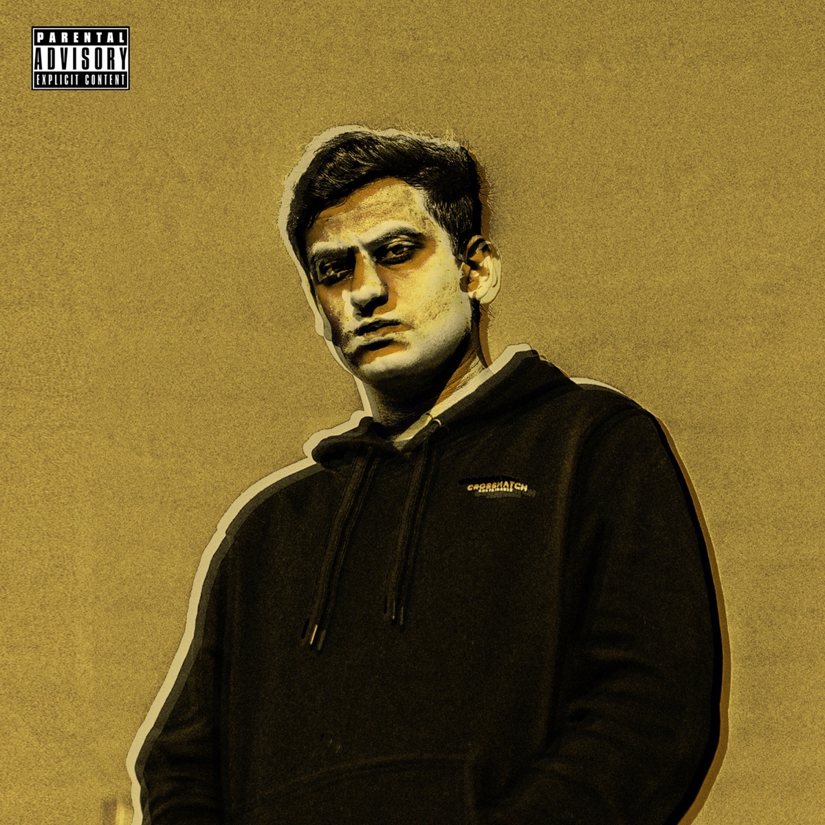 Grass Pass Nai - Single by Zas & superdupersultan album cover