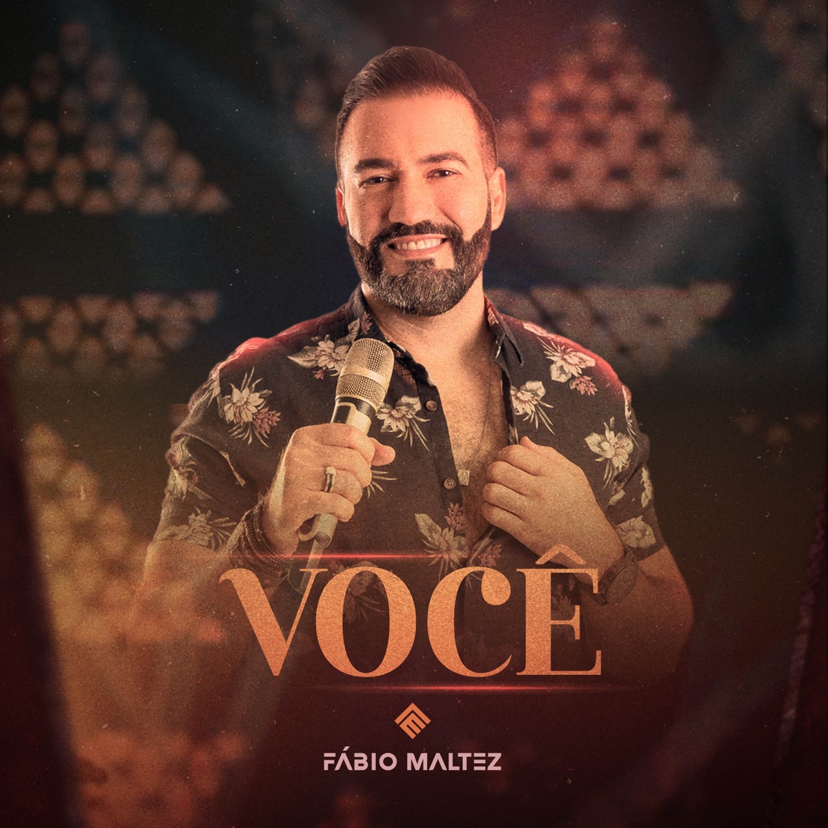 Você - Single by Fábio Maltez album cover