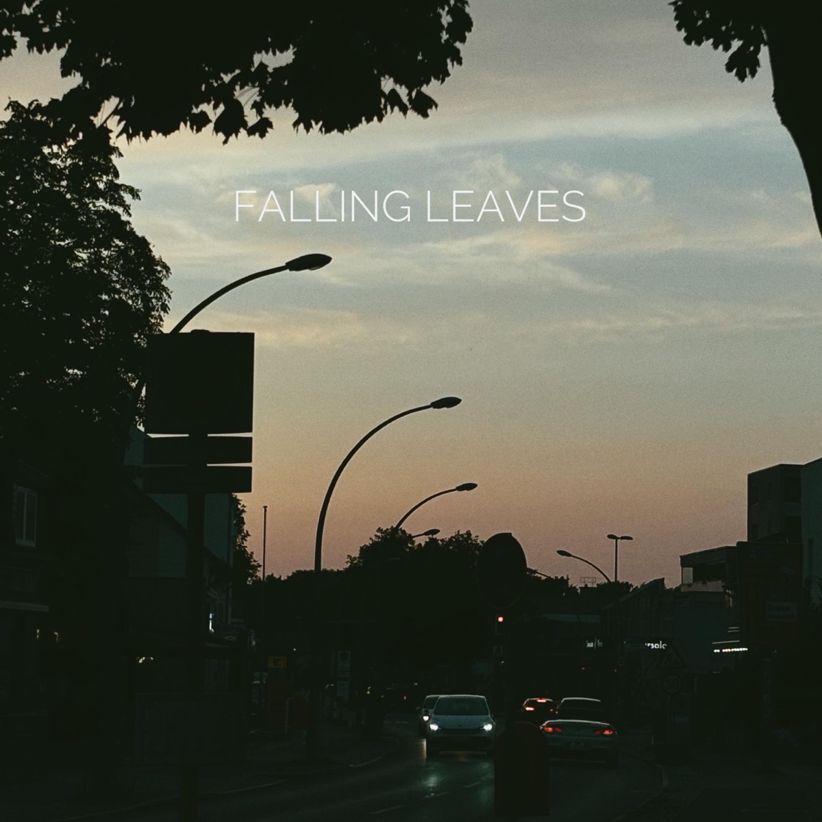 Falling Leaves - Single by møndberg album cover