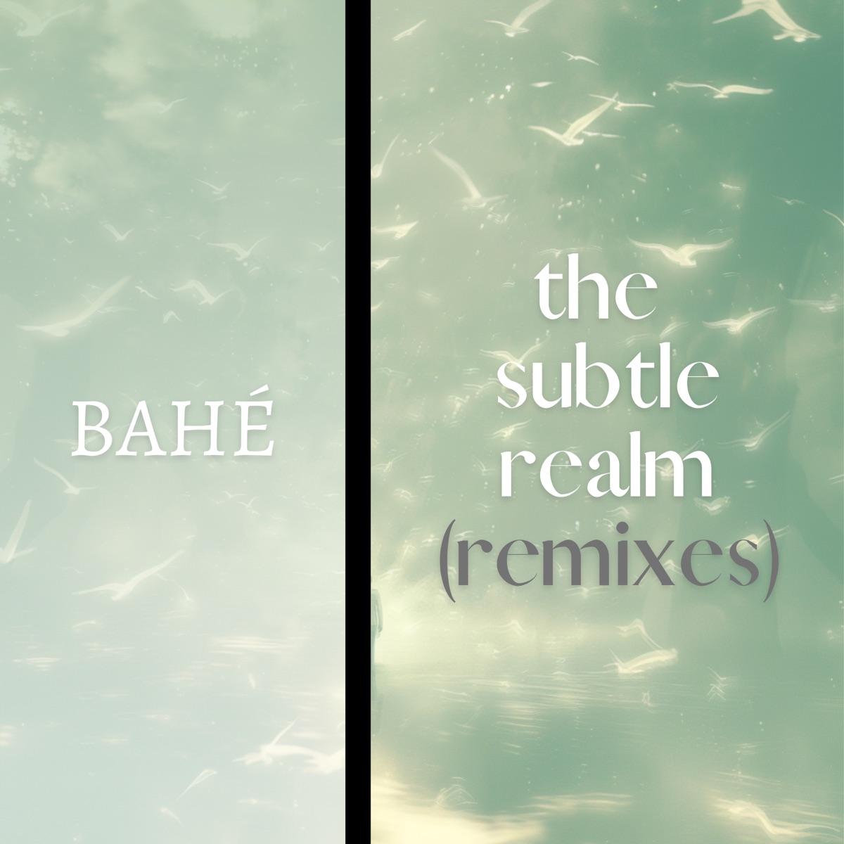 The Subtle Realm (Remixes) - Single by BAHÉ album cover