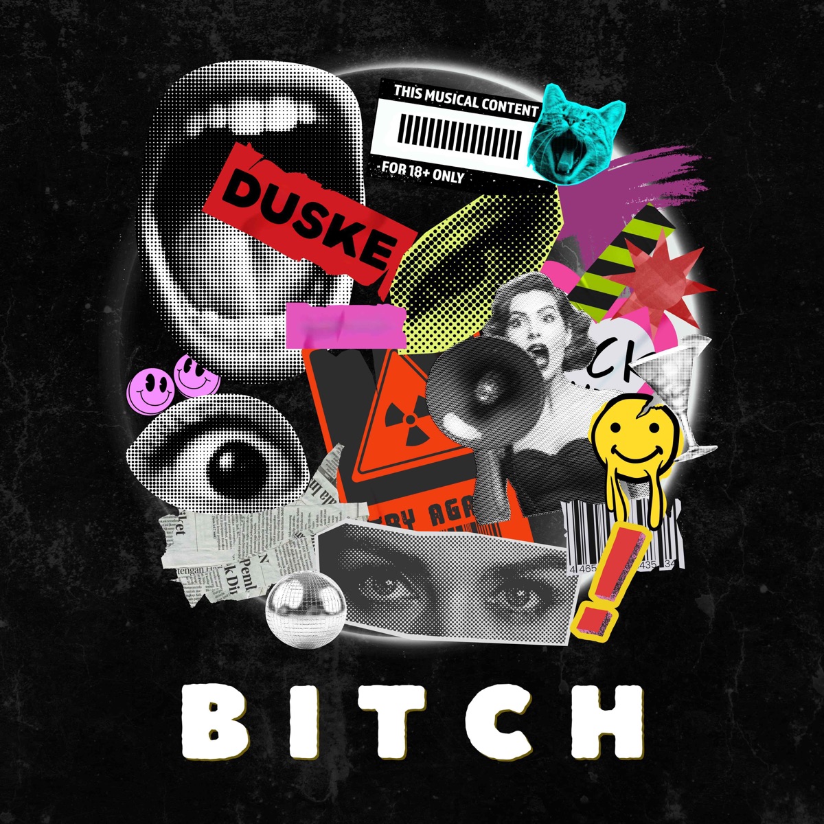 Bitch - Single by Duske album cover