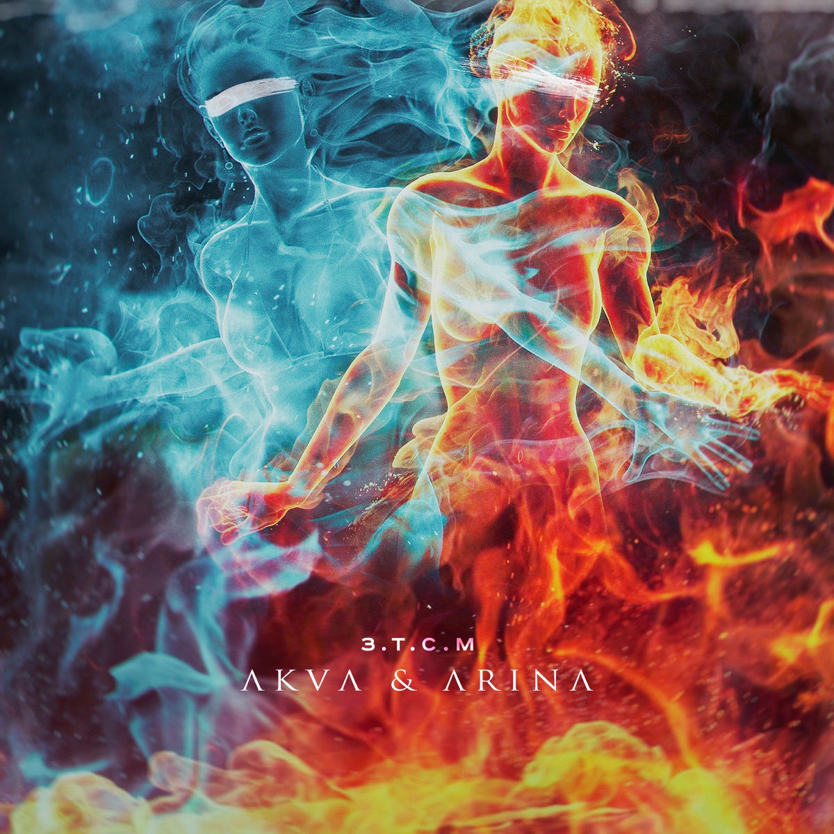 З.T.C.M (feat. Arina) - Single by AKVA album cover