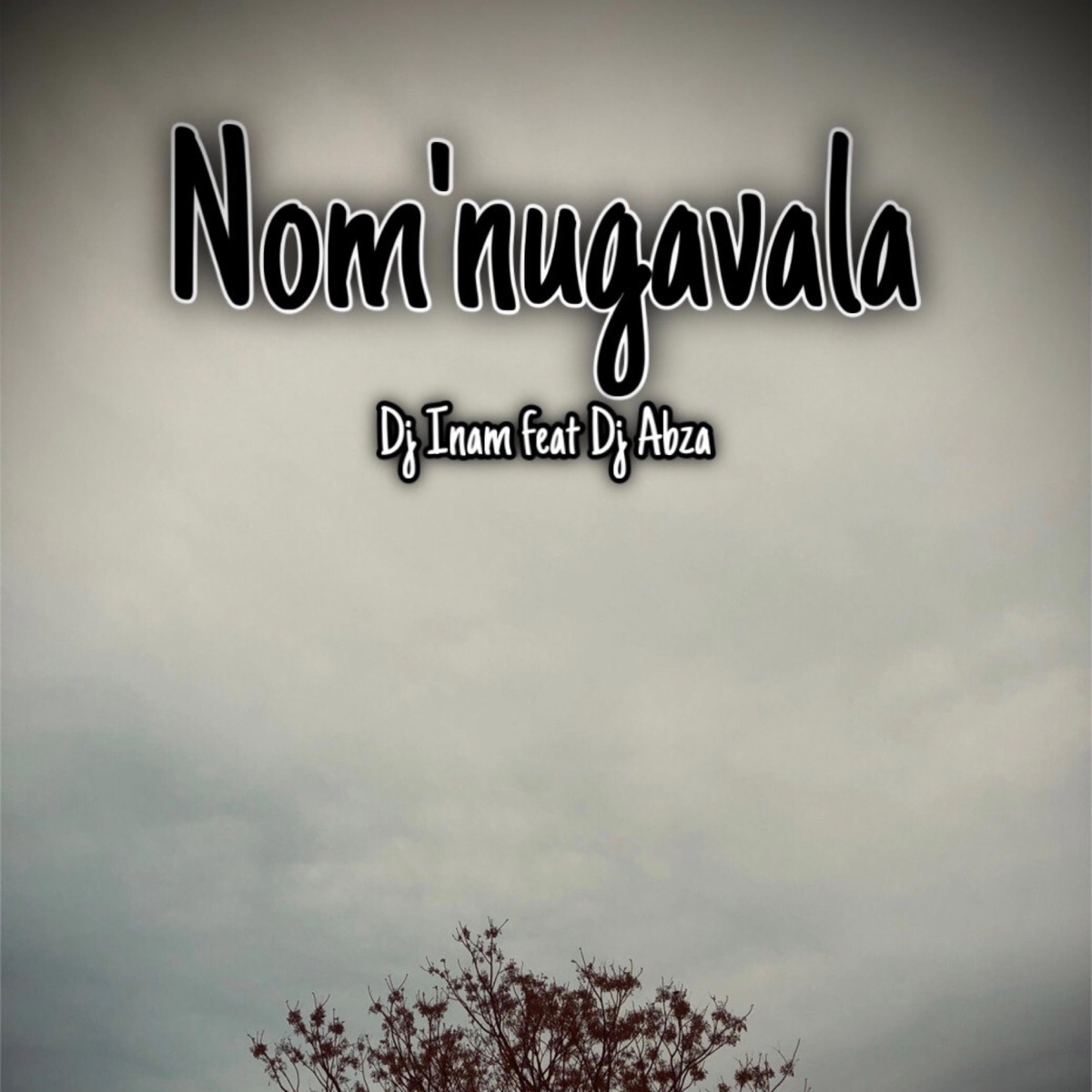 Nom'ungavala (feat. Dj Abza) - Single by Dj inam album cover