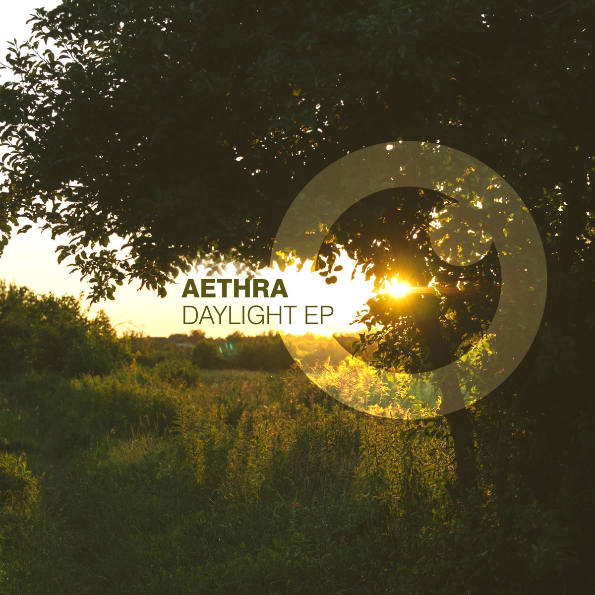 Daylight - Single by Aethra album cover
