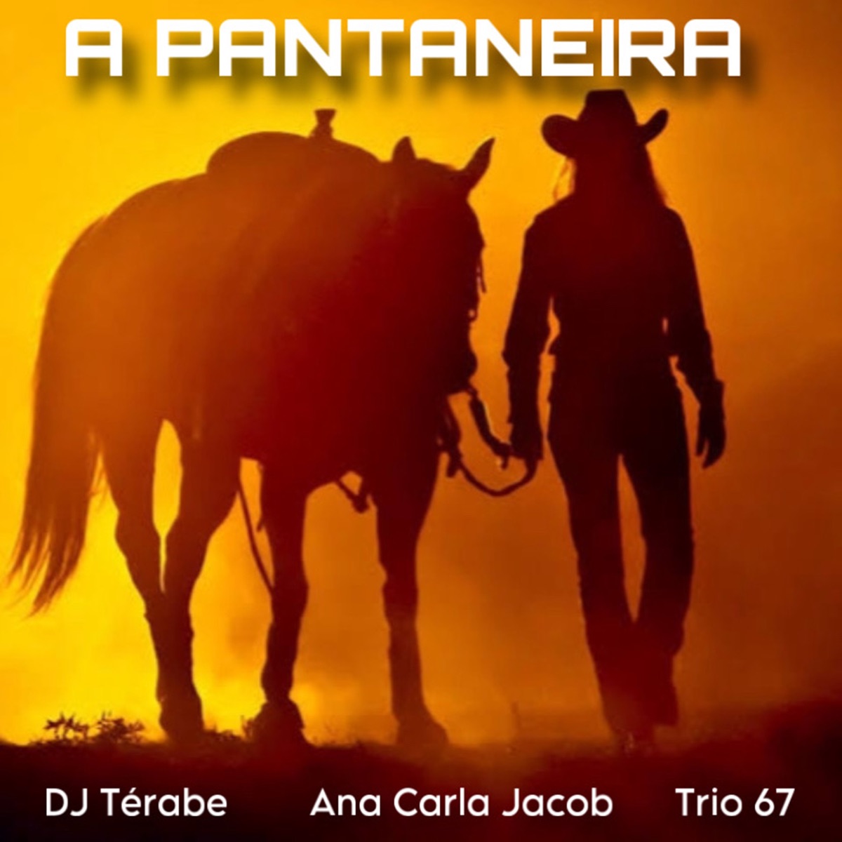 A Pantaneira - Single by DJ Térabe, Ana Carla Jacob & Trio 67 album cover