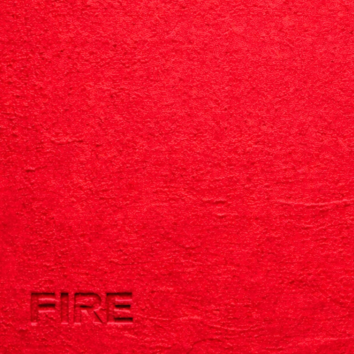 FIRE - Single by Palm Monkey, The Palm Tree Boy, Boix & Breakloop & VANDR album cover