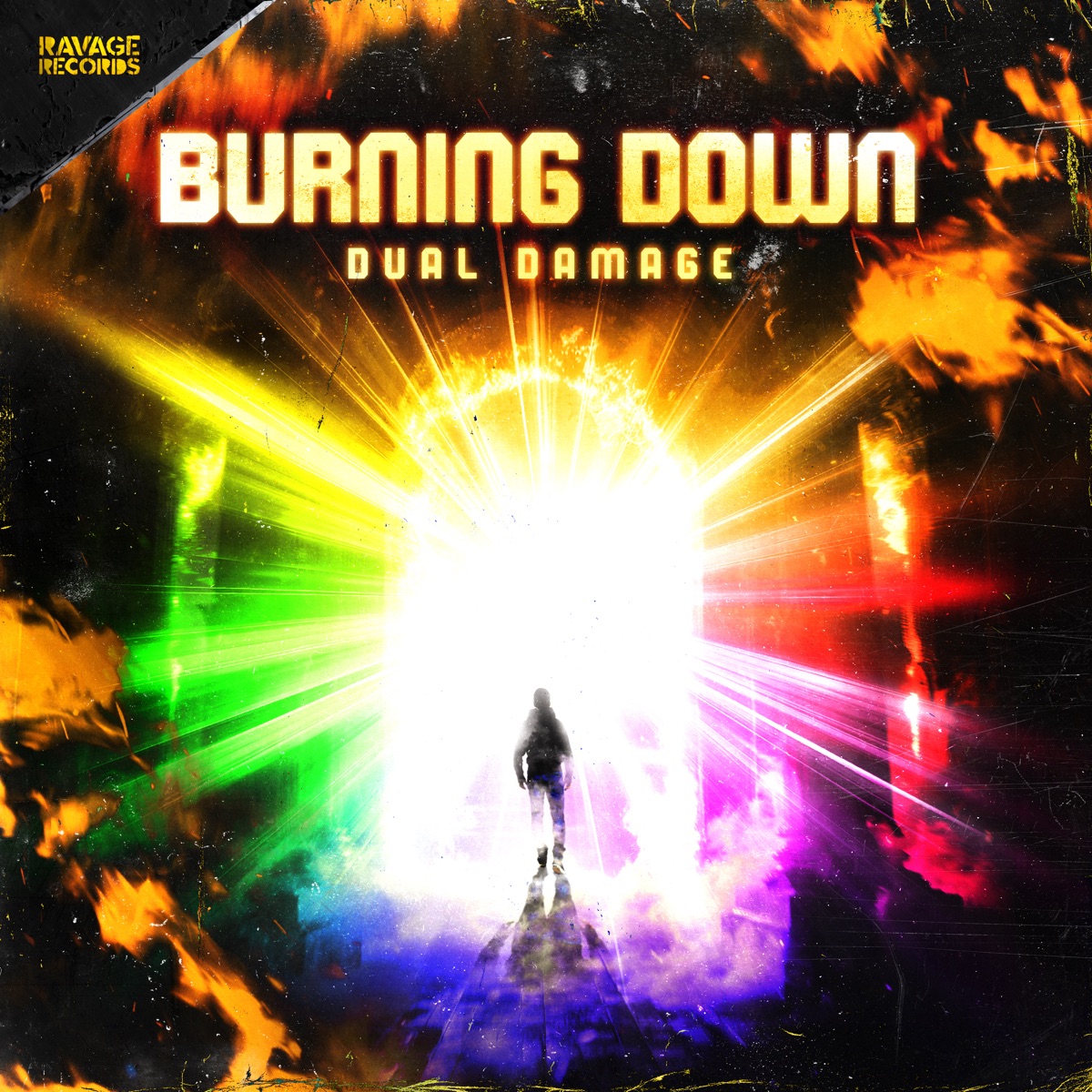 Burning Down - Single by Dual Damage album cover