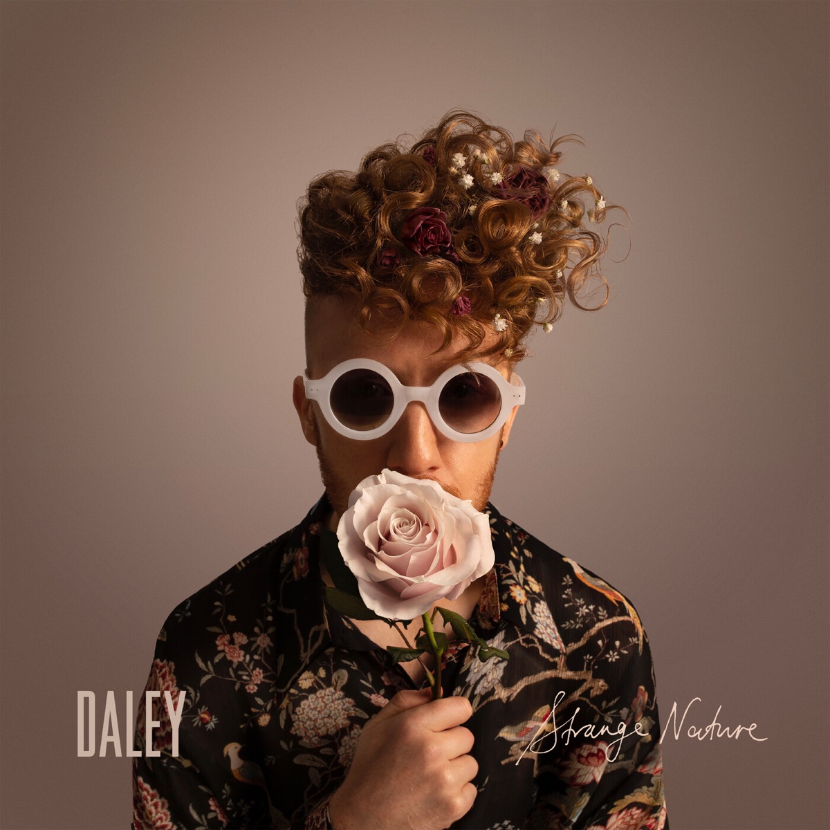 Strange Nature by Daley album cover